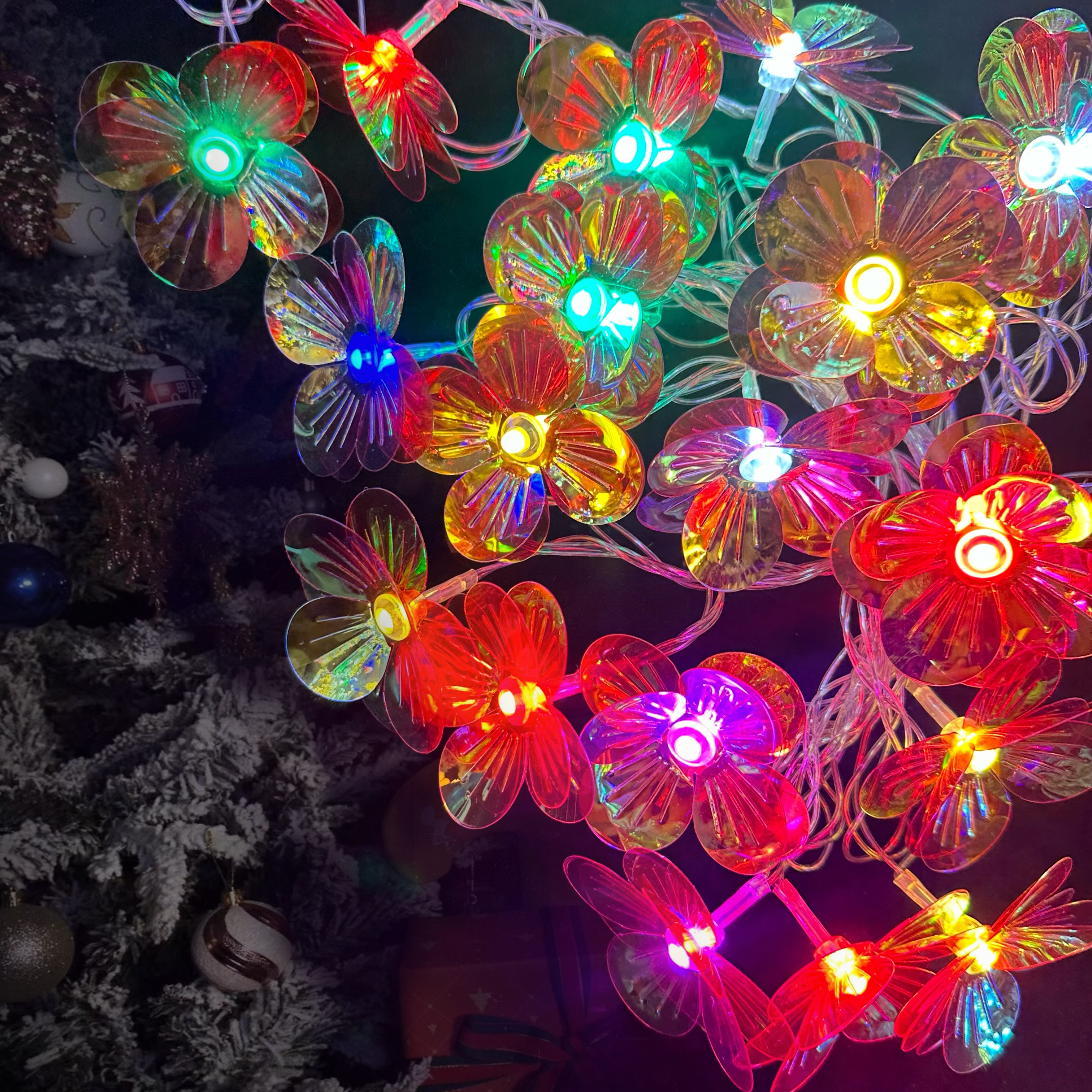 LEDLED