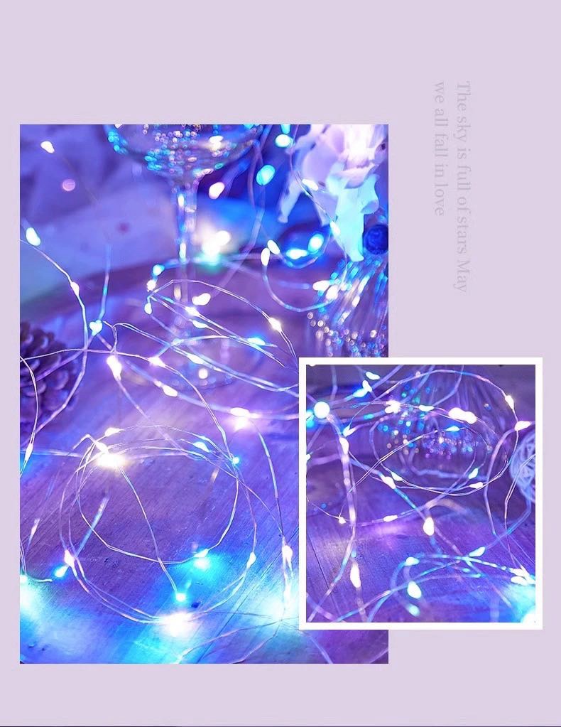 室外LED灯串实物图