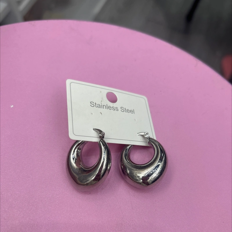 Titanium Steel Earrings
