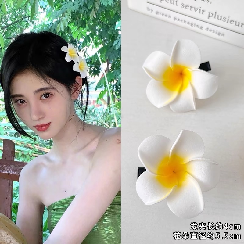 发夹实物图