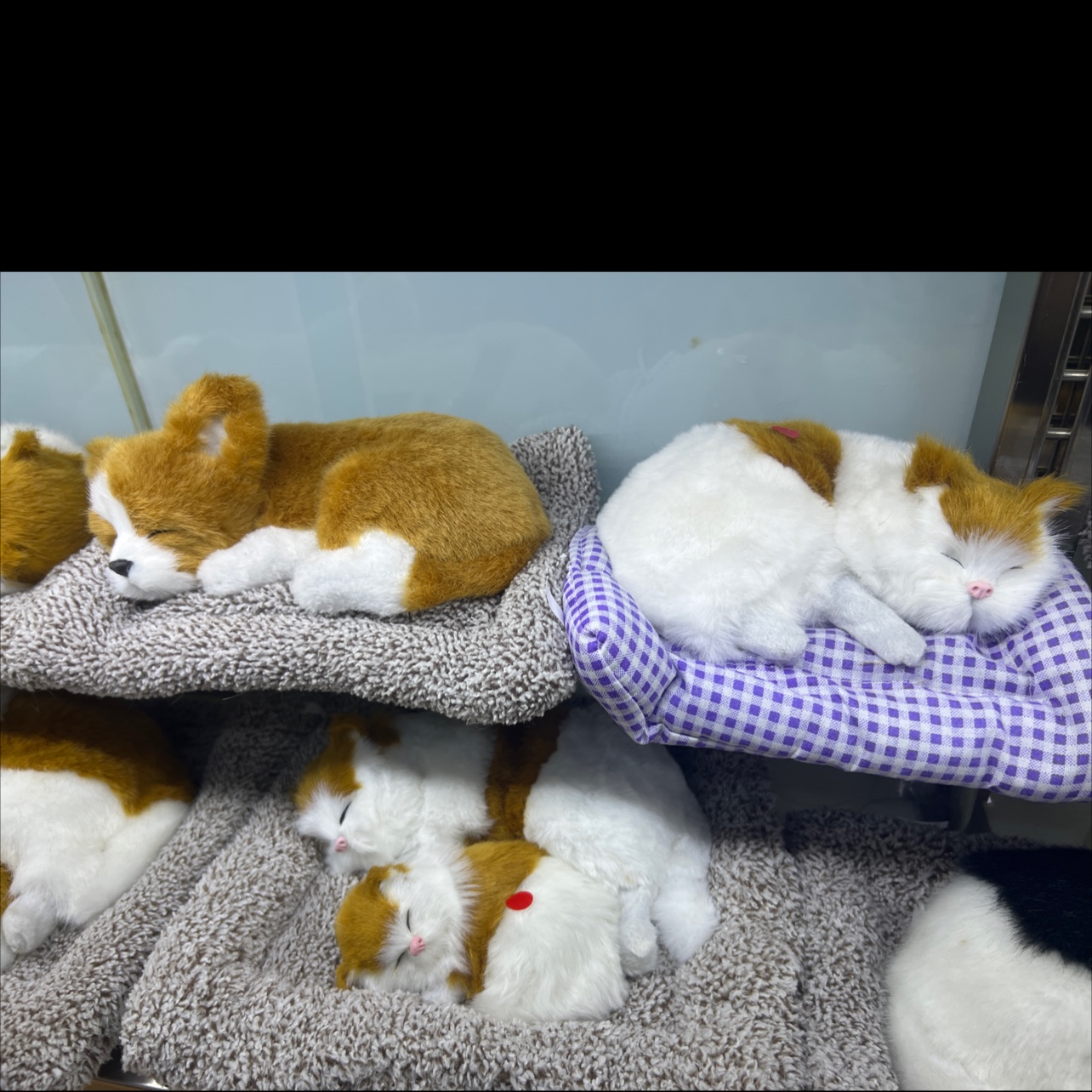 仿真动物实物图