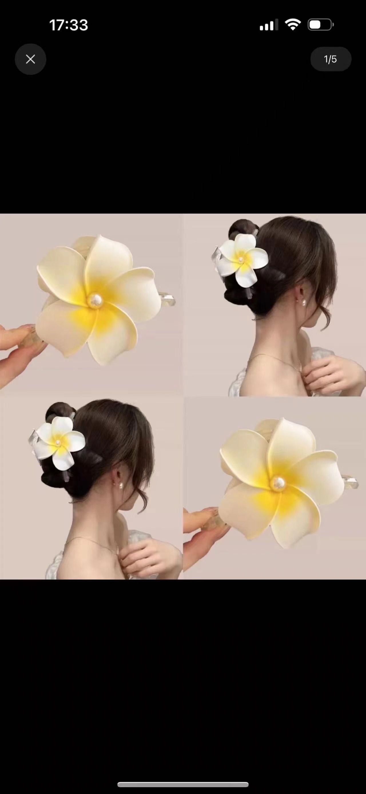 2024 Korean Claw clip back of head pumpkin claw clip frangipani claw clip thumbnail