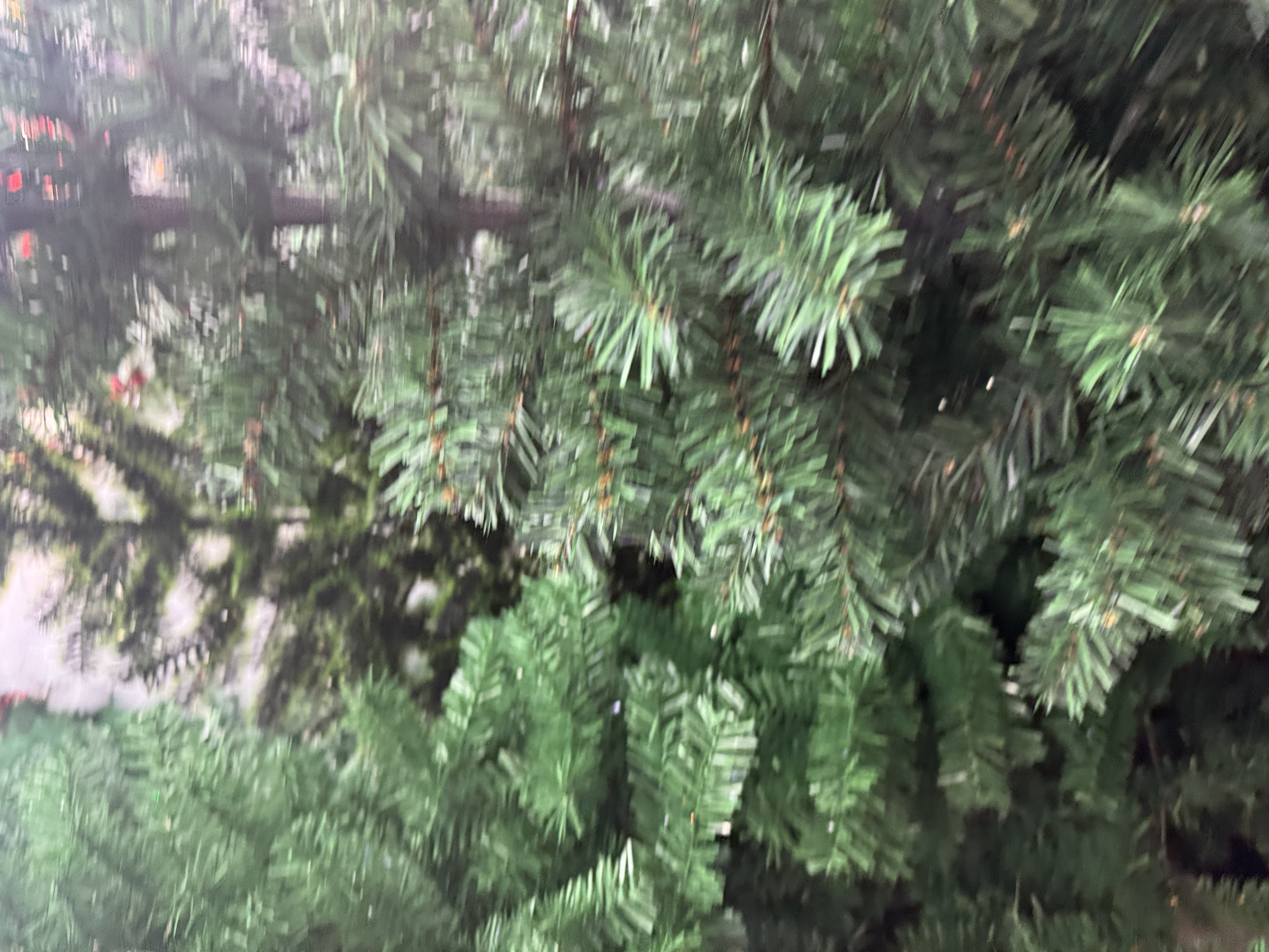 PVC圣诞树1.8米 高品质节日礼品装饰圣诞树套装 附赠圣诞节发夹装饰品 欢庆圣诞节 快乐分享PVC圣诞树圣诞树