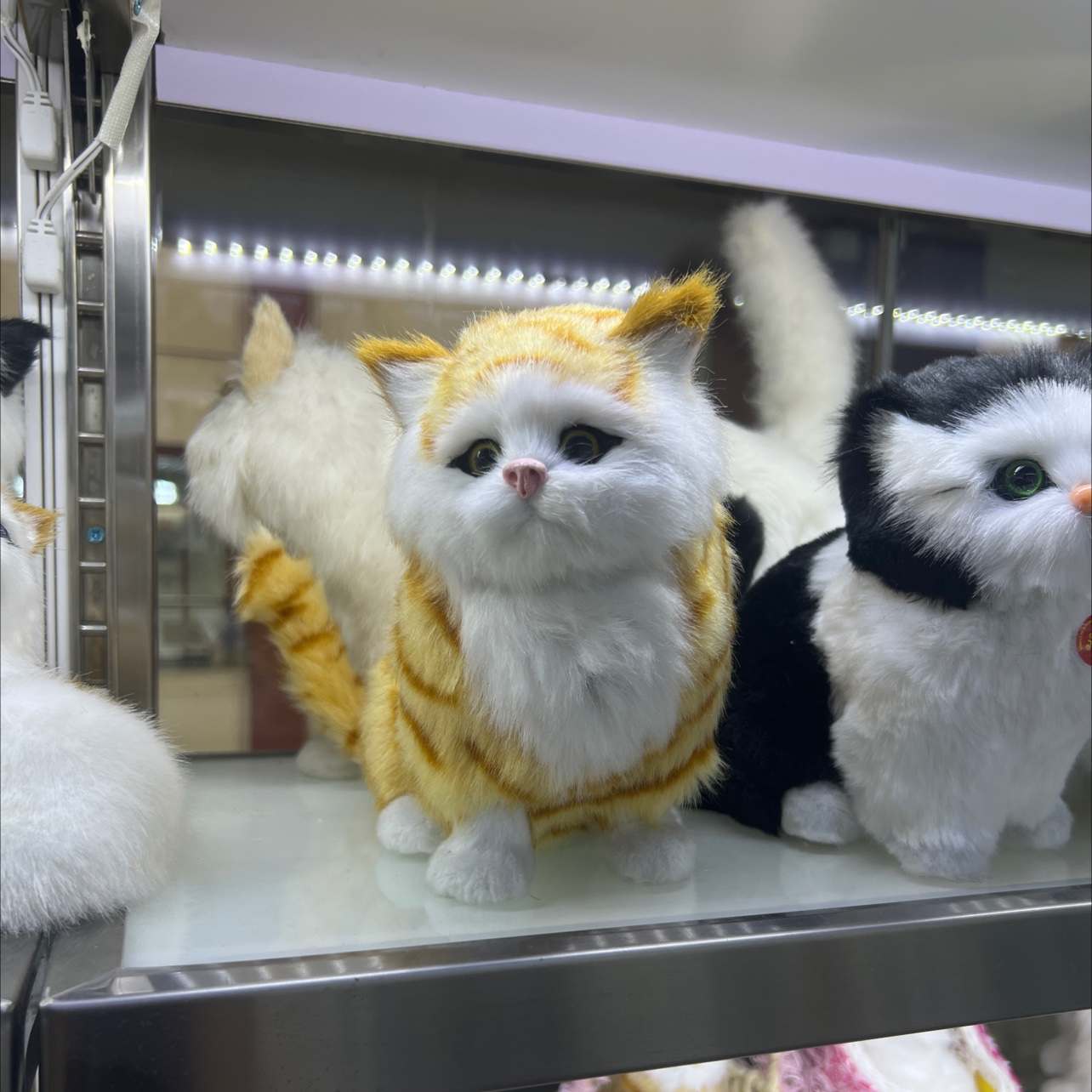 仿真动物实物图