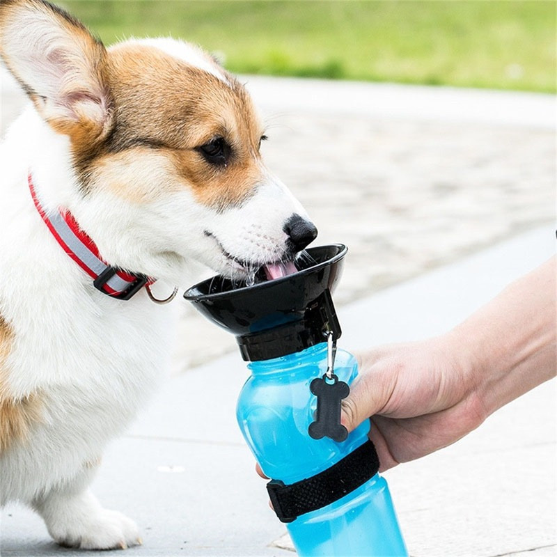 Cross-border squeezing portable pet water dispenser, dog outdoor water cup, travel cup, dog walking water bottle, pet drinking water details Picture