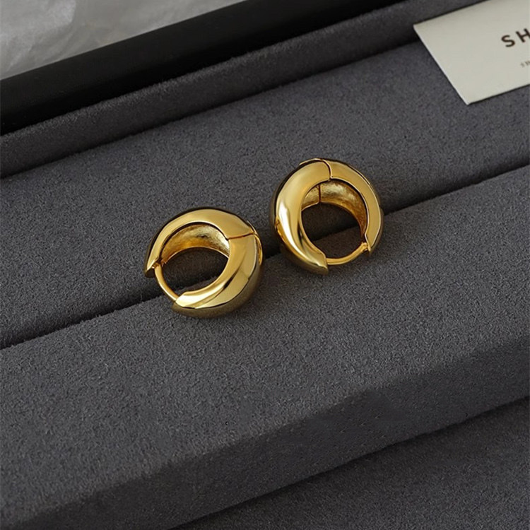 European and American exaggerated metal earrings for women, elegant and grand circle earrings, niche retro internet-famous stud earrings, Korean style earrings detail image 3