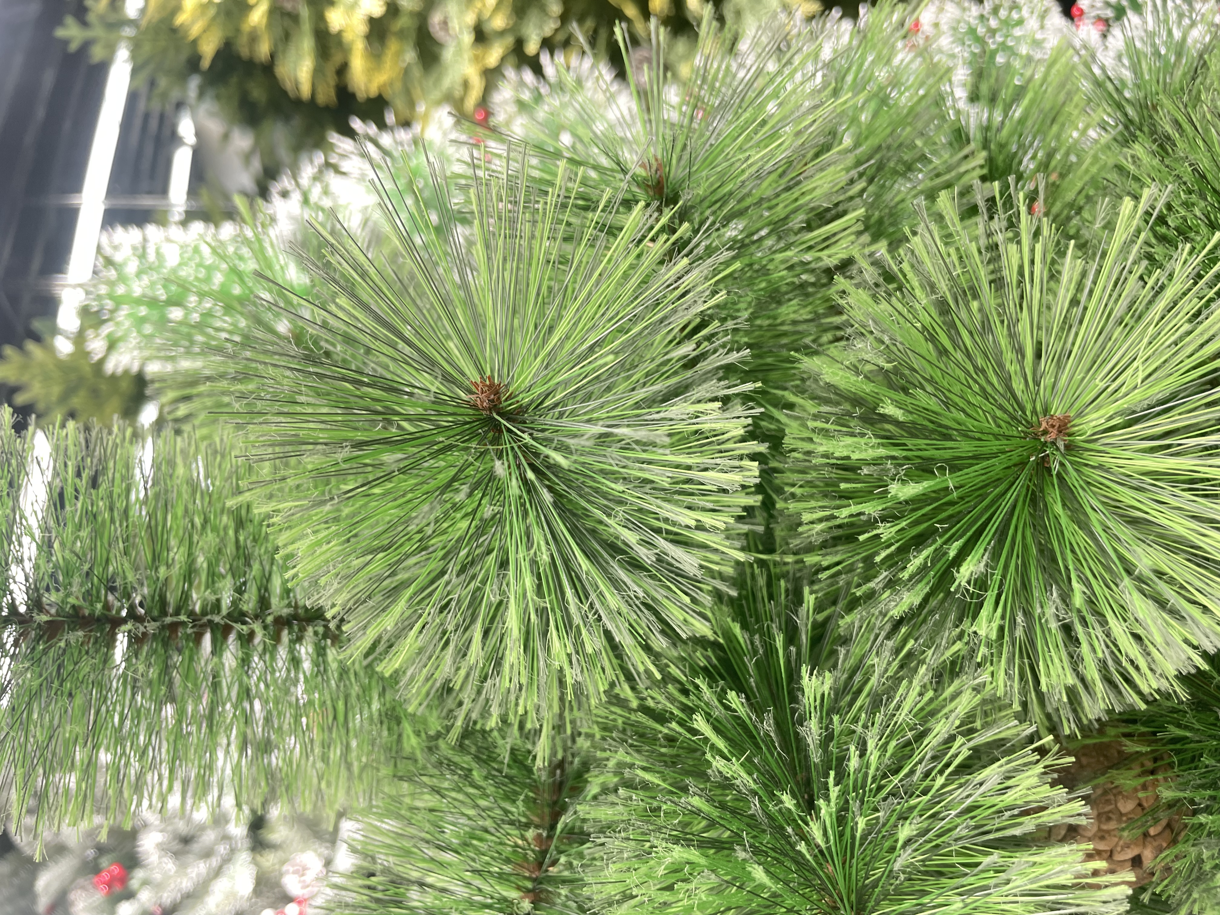 开花松针210cm330头圣诞树节日礼圣诞树Pet圣诞树详情图4