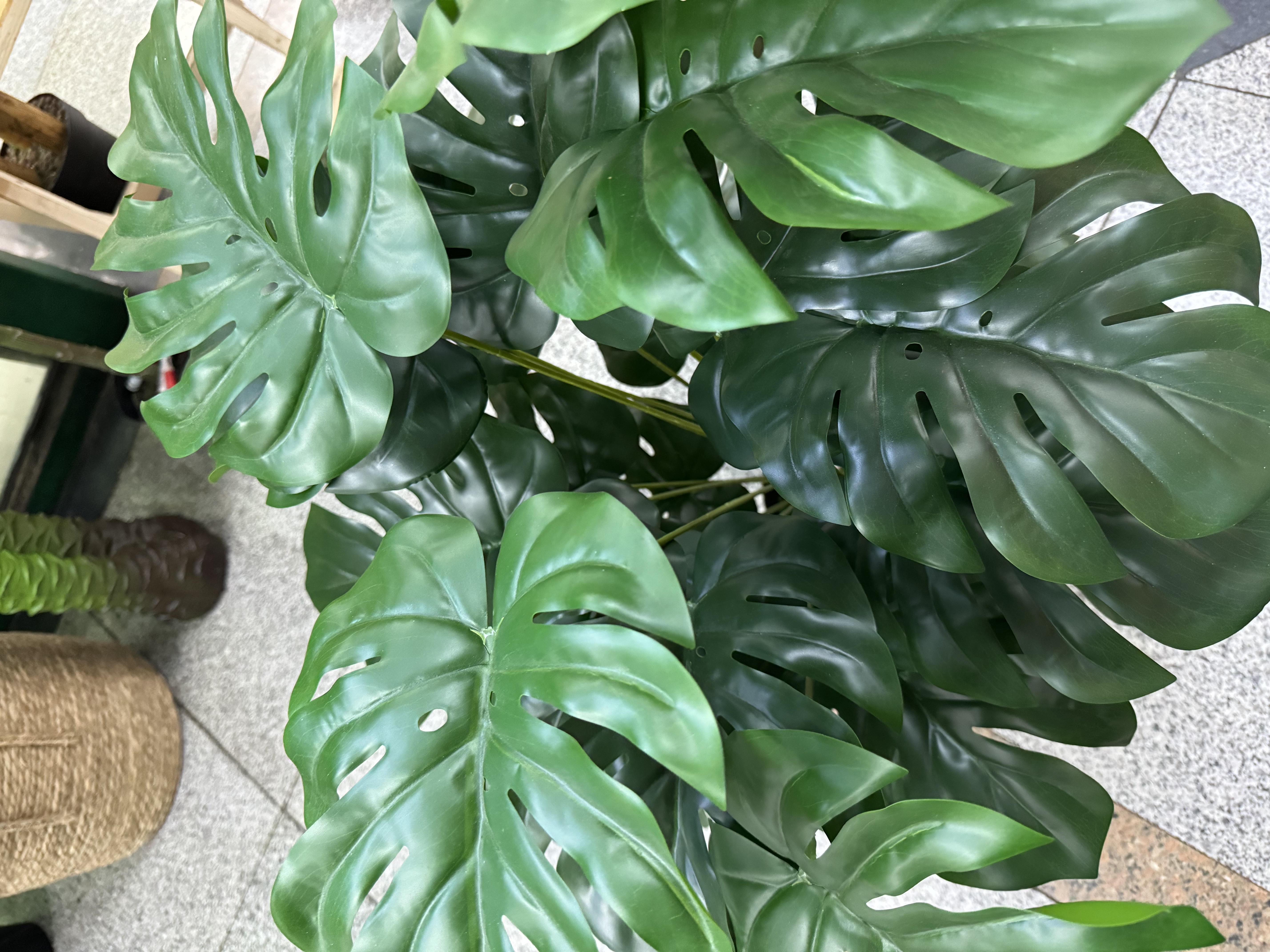 Factory direct sales of artificial green plants, artificial trees, indoor plant walls, artificial flowers, 24-leaf turtle-back leaves, 76CM artificial potted plants, color customization supported Specification image