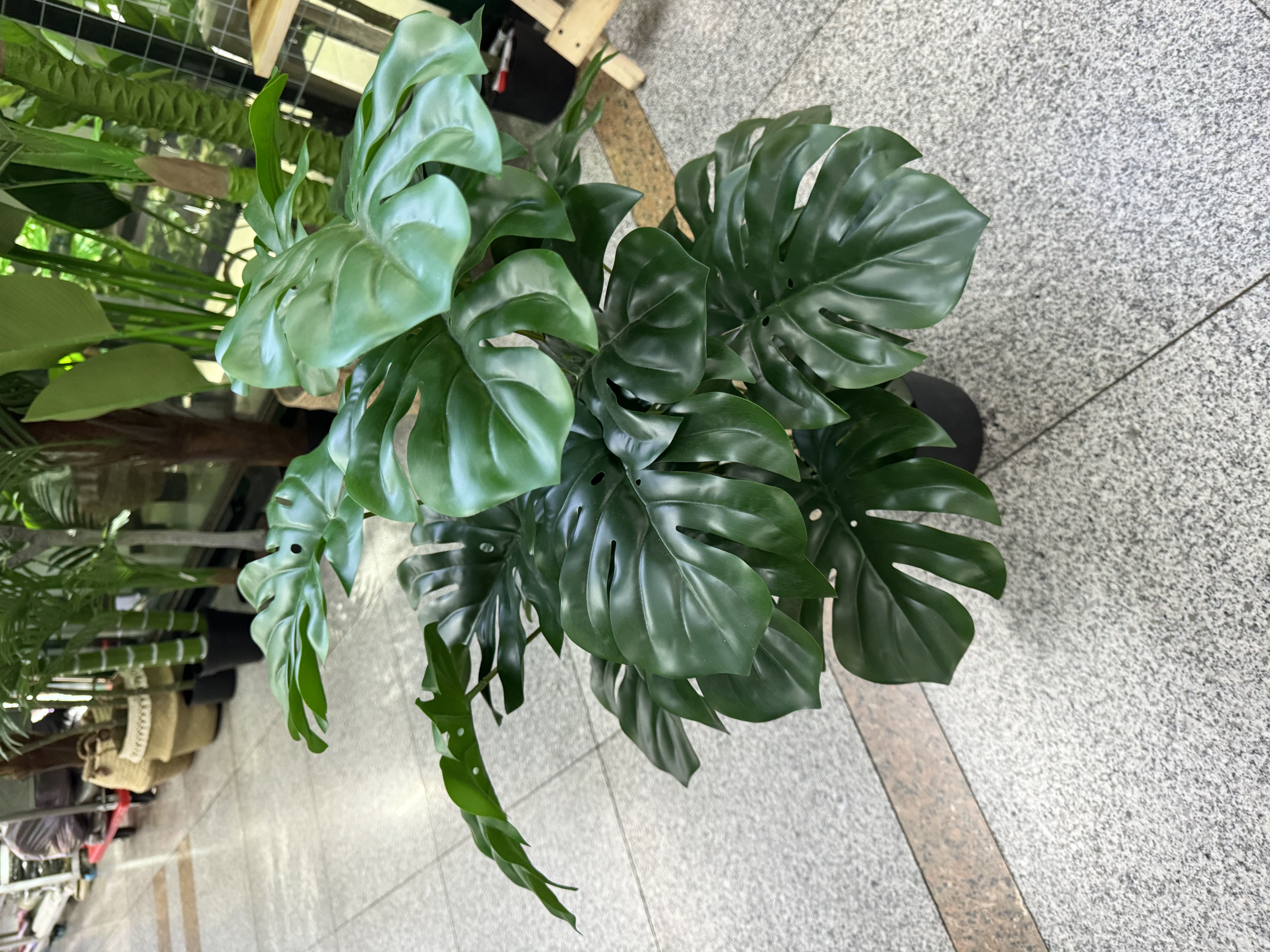Factory direct sales of artificial green plants, artificial trees, indoor plant walls, artificial flowers, 24-leaf turtle-back leaves, 76CM artificial potted plants, color customization supported details Picture