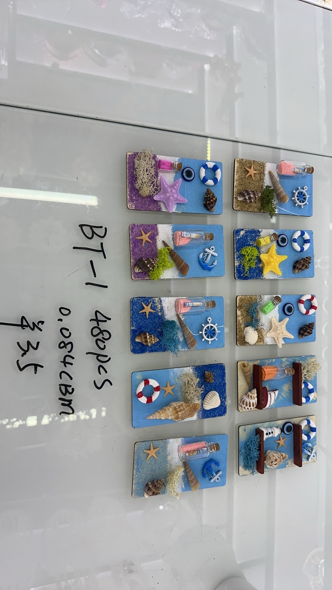 贝壳礼品，海洋工艺品，冰箱贴，一件480，一盒12个，爆款，多色混合天然贝壳深海贝壳