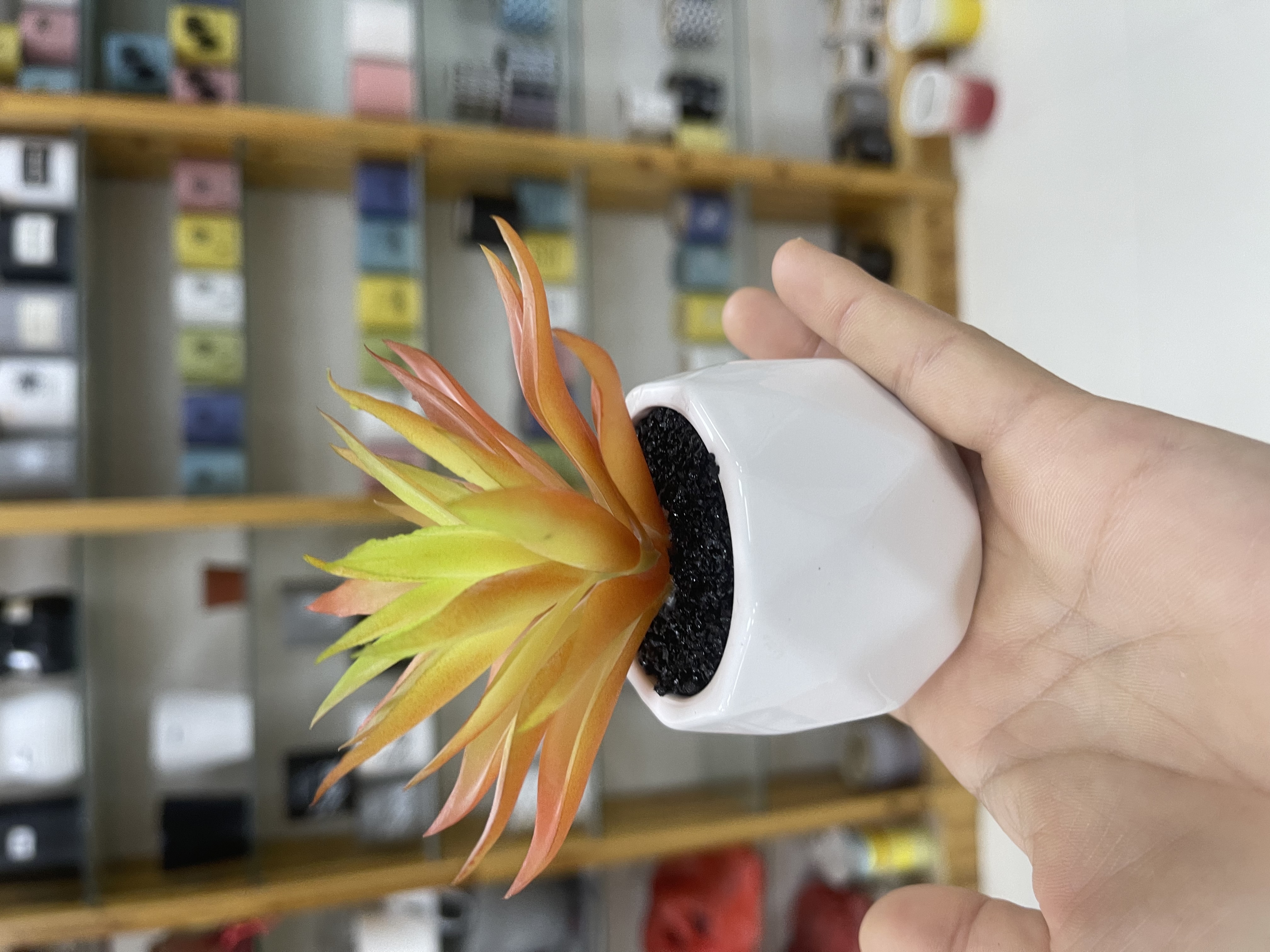 陶瓷工艺品实物图