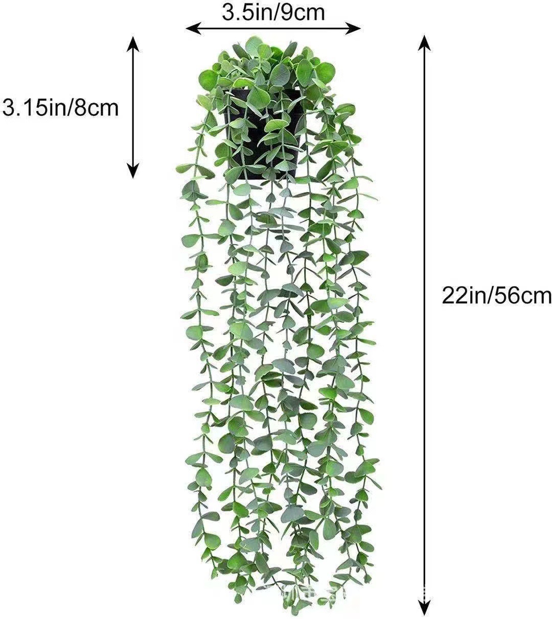 仿真植物实物图