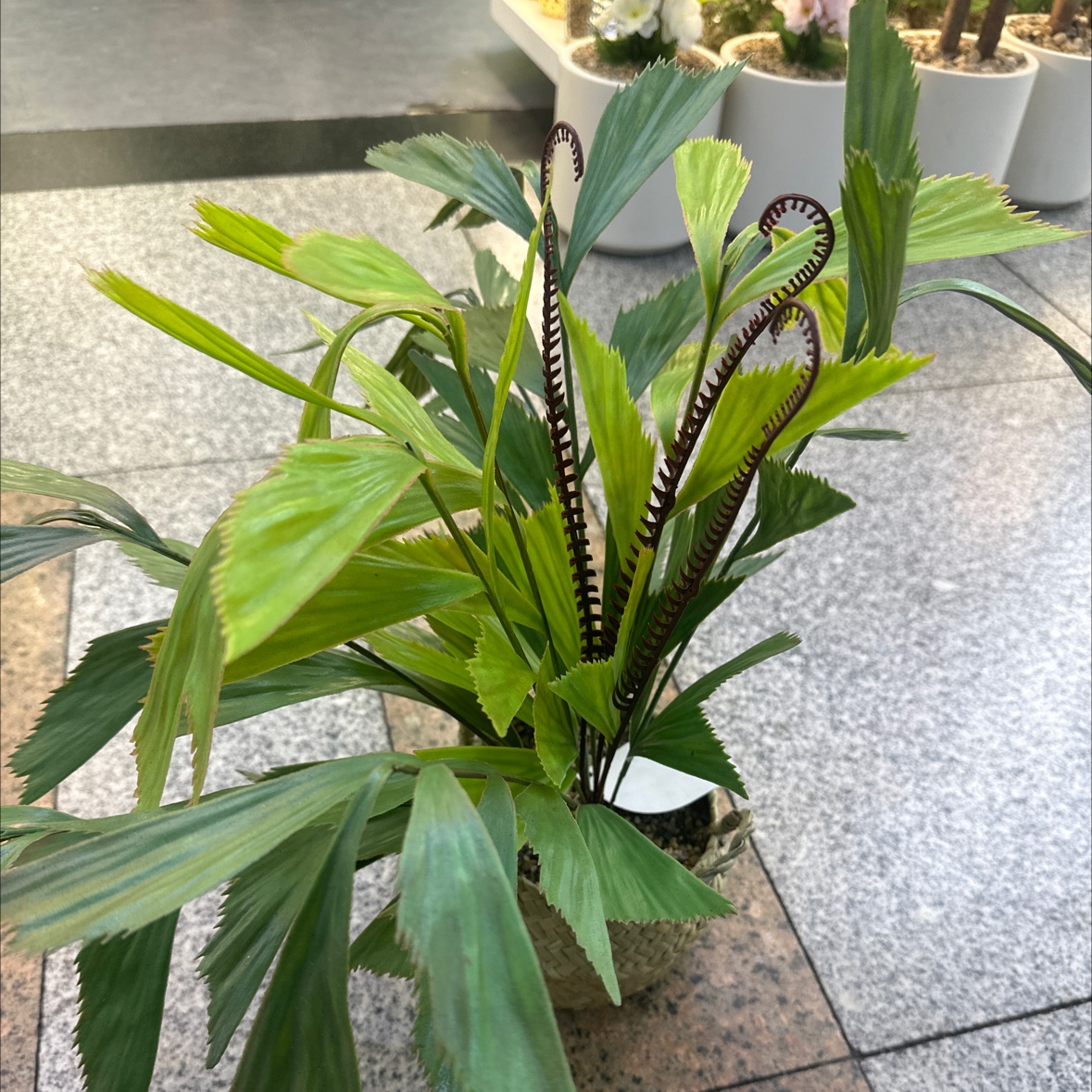 仿真植物人造树绿植摆件绿植仿真花仿真绿植