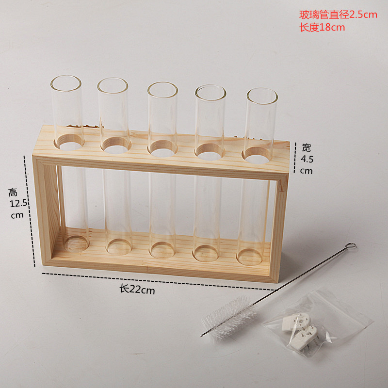 水培一排花瓶玻璃试管插花水培透明创意网红水养鲜花高级感单支摆件