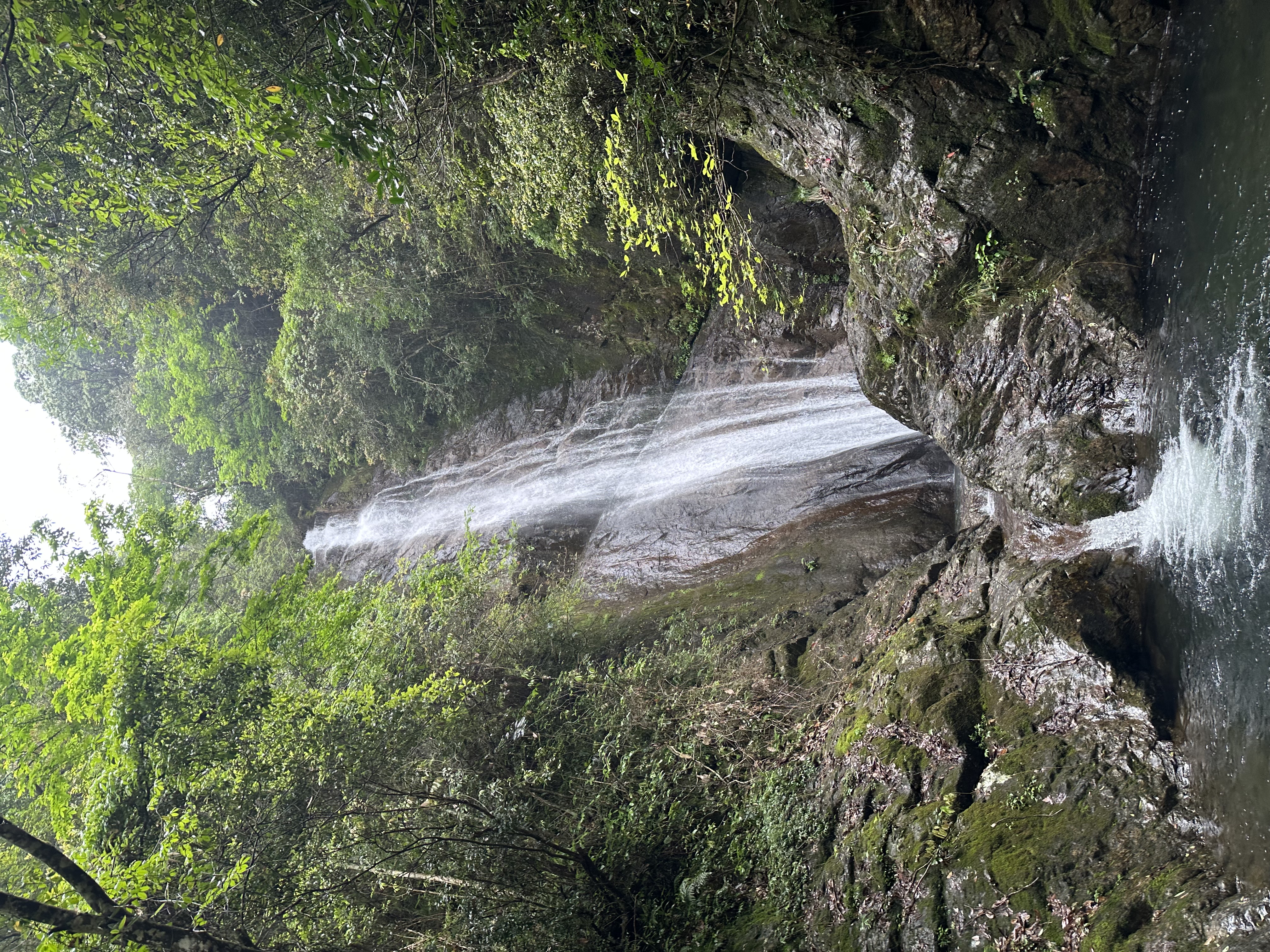 超萌毛绒玩具娃娃 玩偶公仔布娃娃详情图2