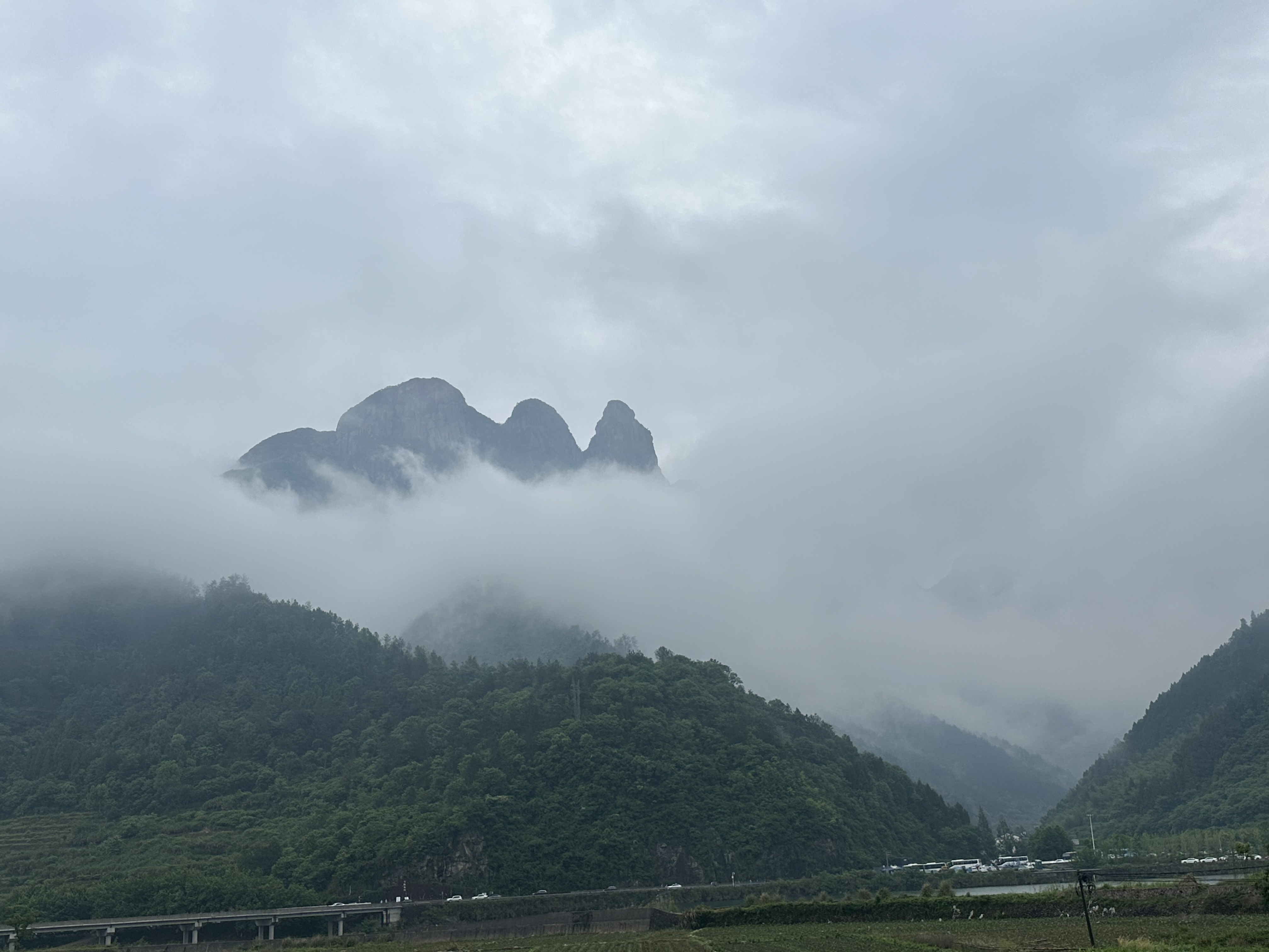 超萌毛绒玩具娃娃 玩偶公仔布娃娃产品图