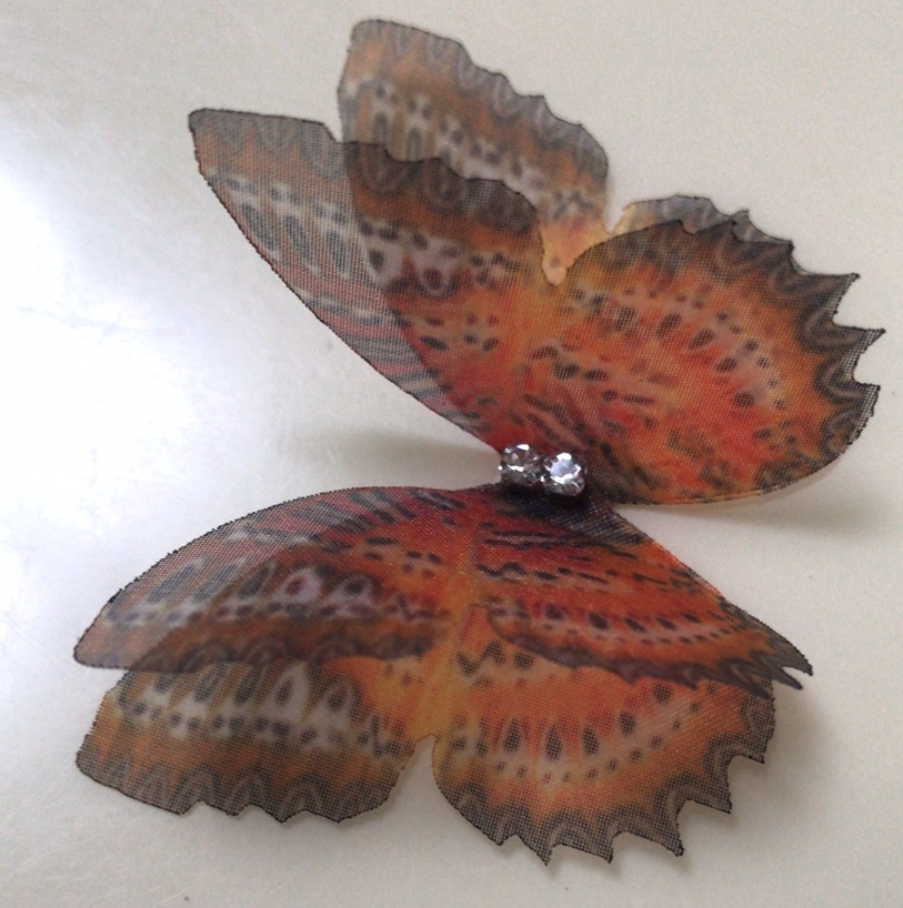 其他分类实物图