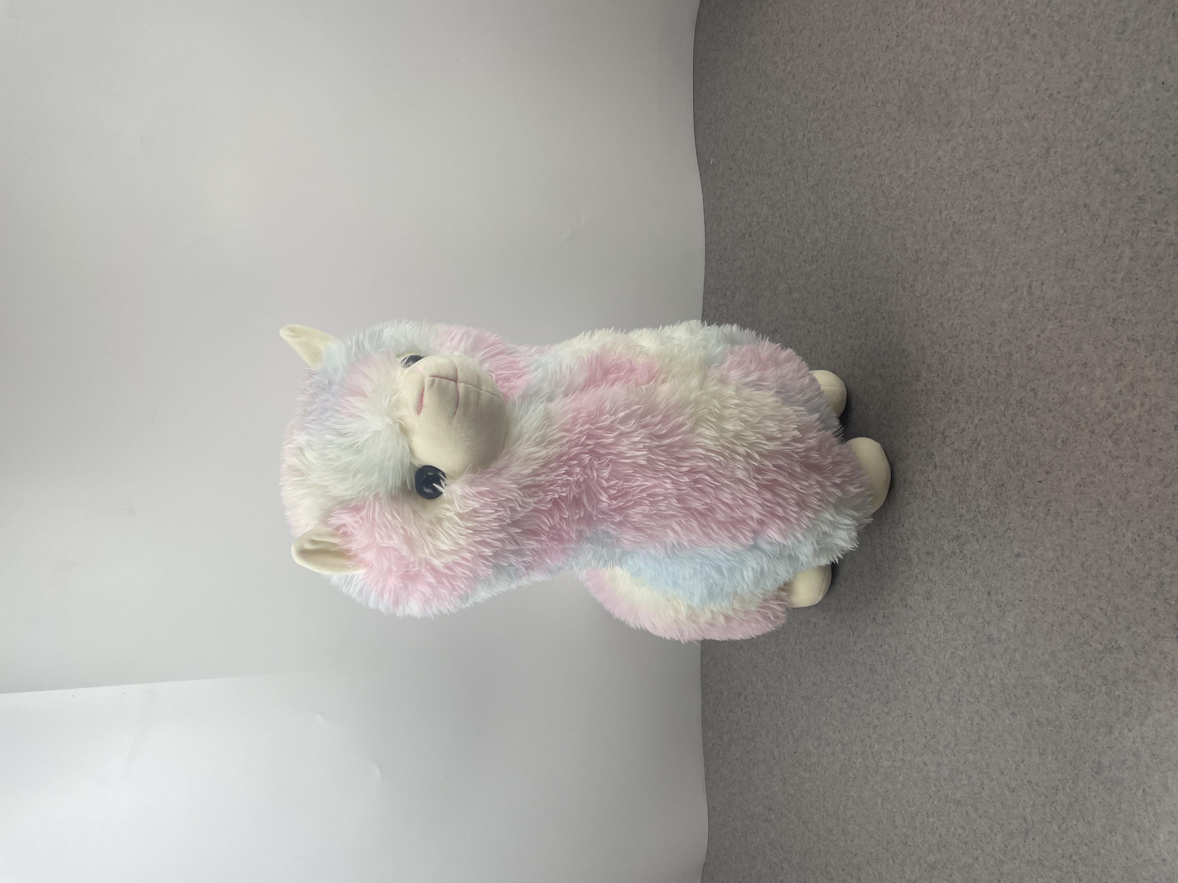 长毛炫彩可爱站姿羊驼