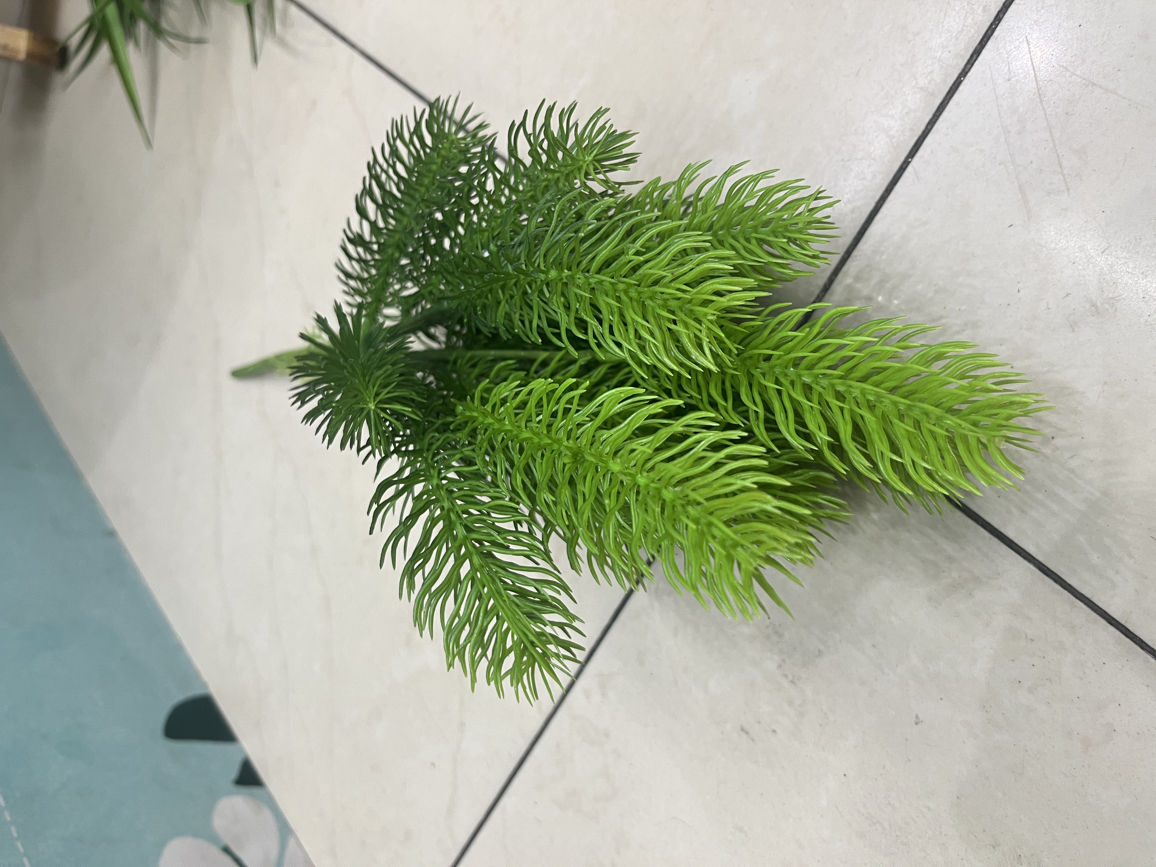 仿真植物详情图4