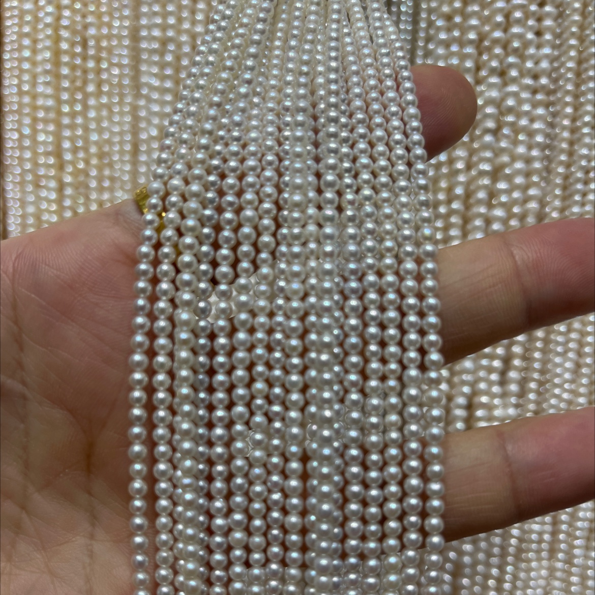 淡水天然珍珠项链、跨境电商供货款。网络热卖款。外贸出口，厂家直销。珍珠耳钉饰品