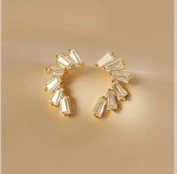 锆石耳环饰品 璀璨炫光 明星同款耳饰 时尚潮流女士耳环 高级感耳饰品
产品图