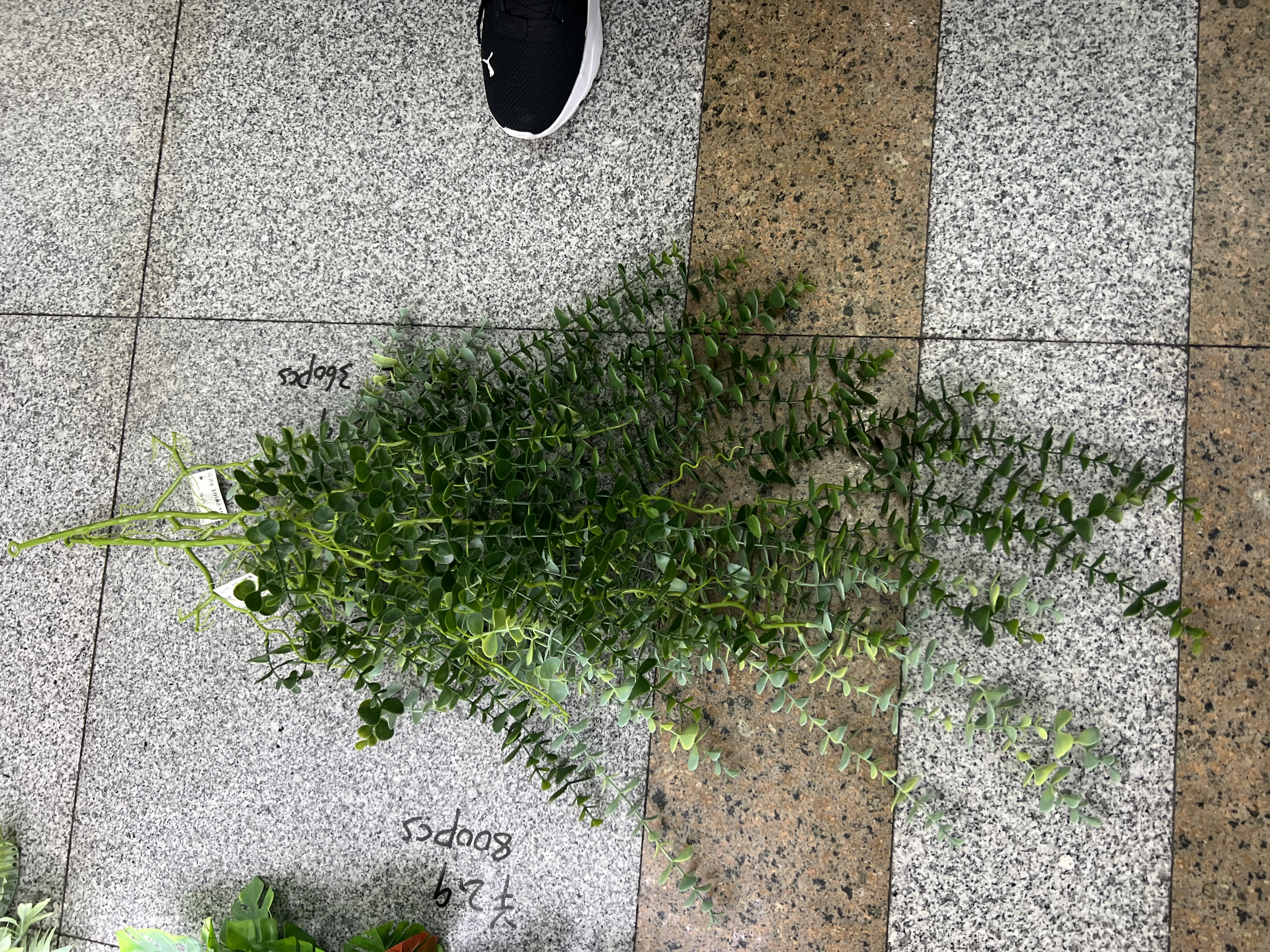 室内绿植墙人造树 仿真植物摆件 绿植装饰品 环保无味 创意家居装饰 绿色生活美学产品图