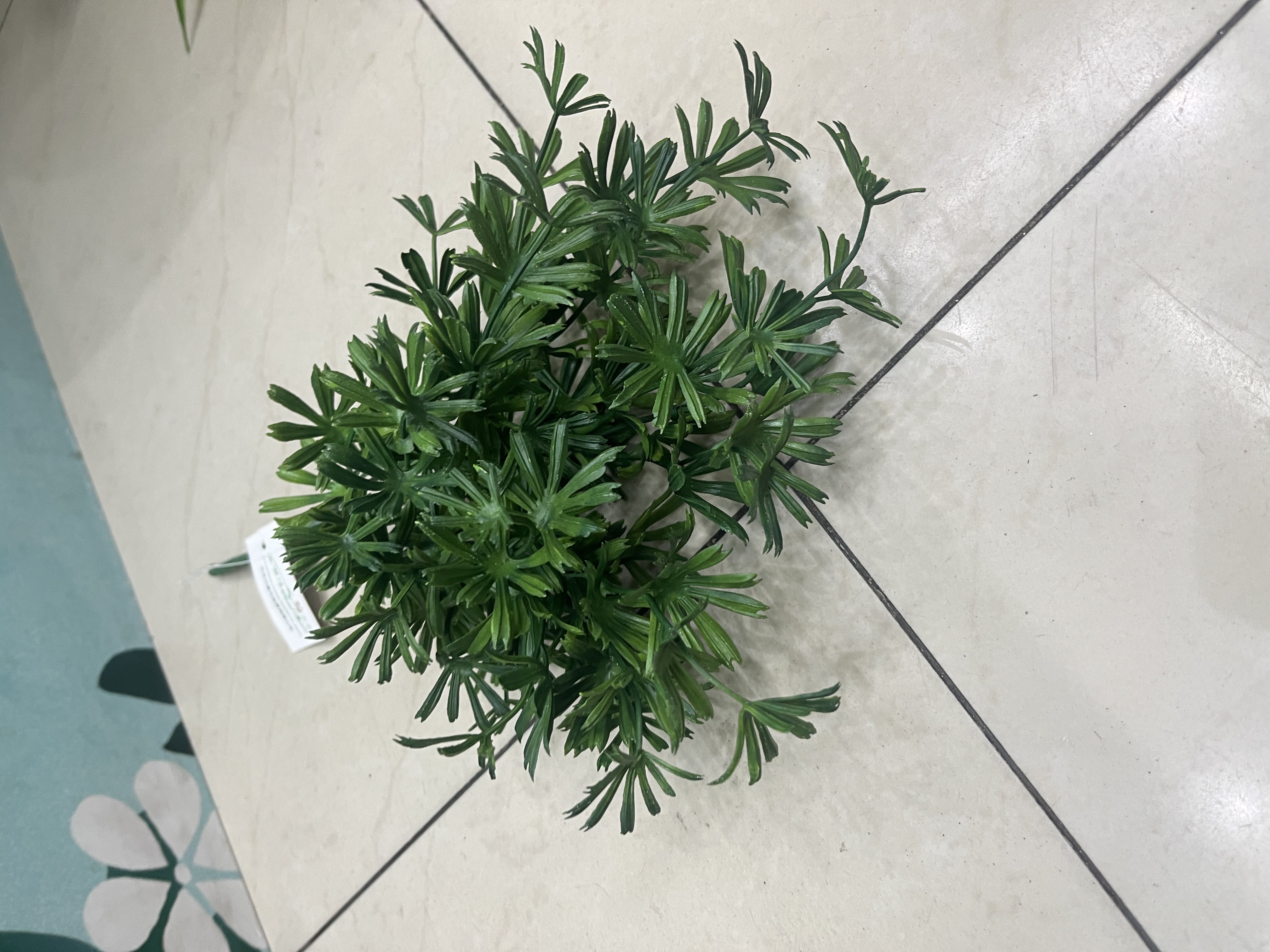 仿真植物详情图3