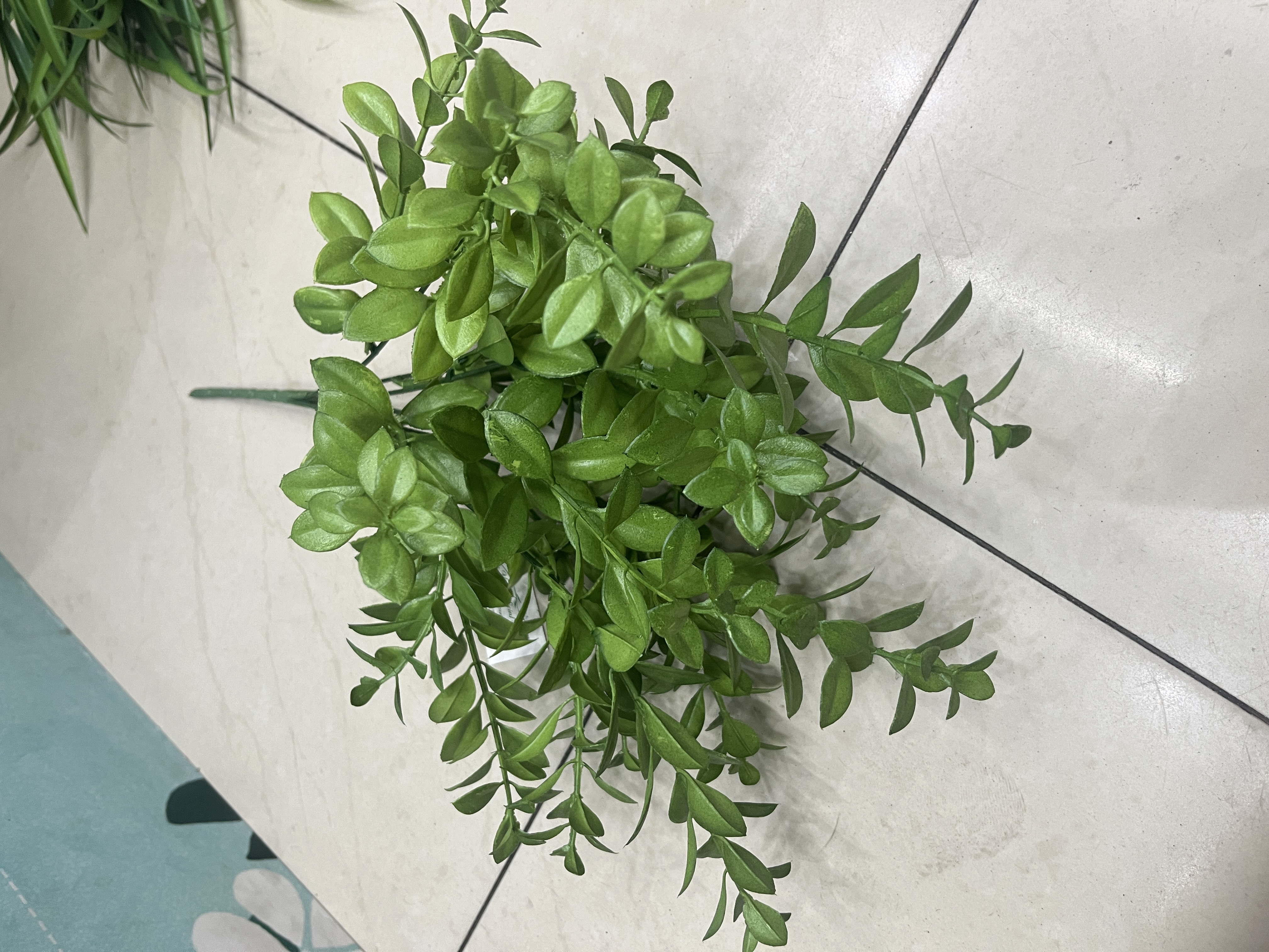 仿真植物详情图5
