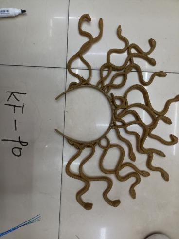 美杜莎头扣 蛇头扣