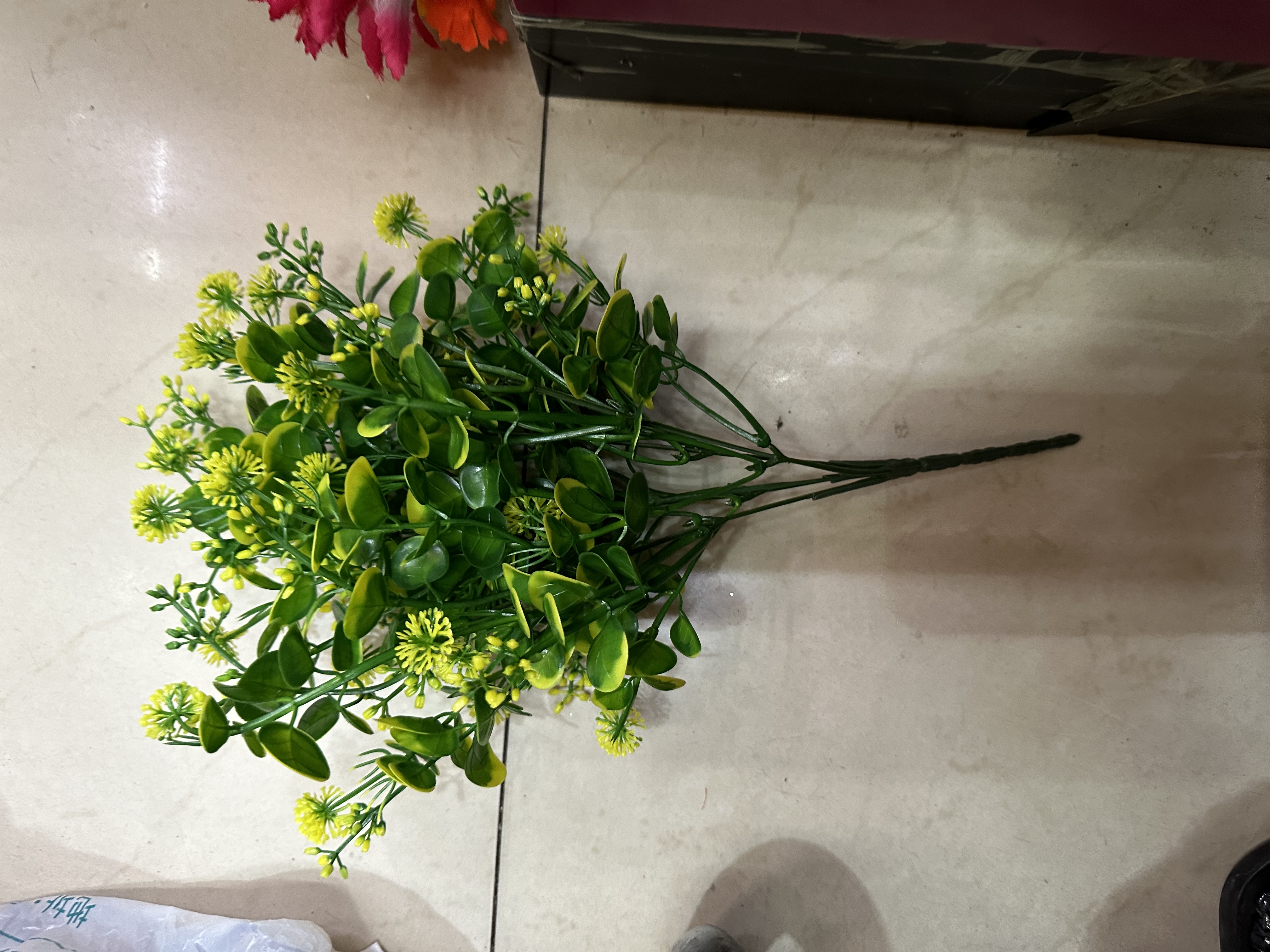 绿草多多可以选色有加利，五头六头七头都可以做啊