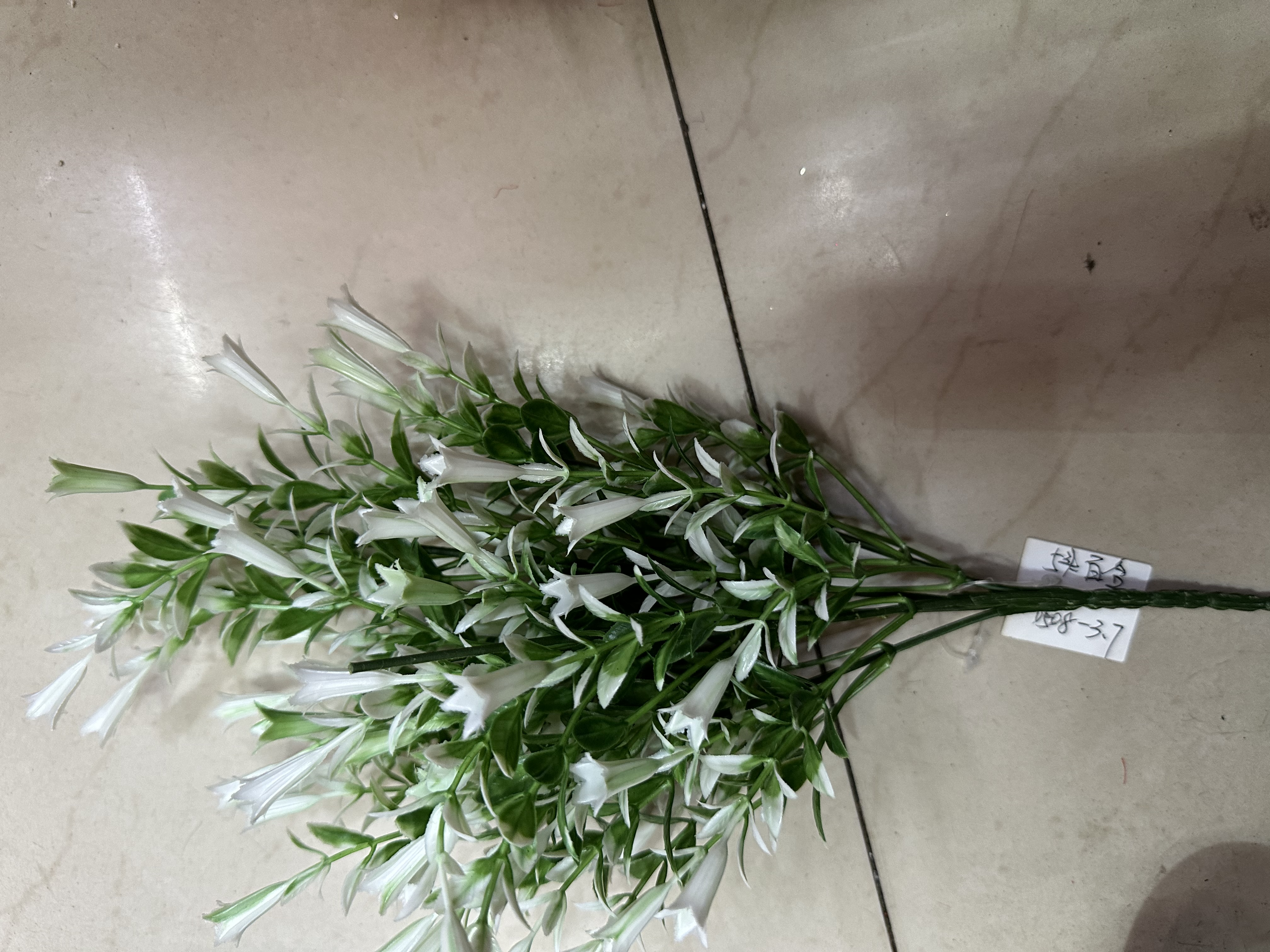 草满天星颜色混色黄色青黄，绿色eerttēdsdthjbhccnk