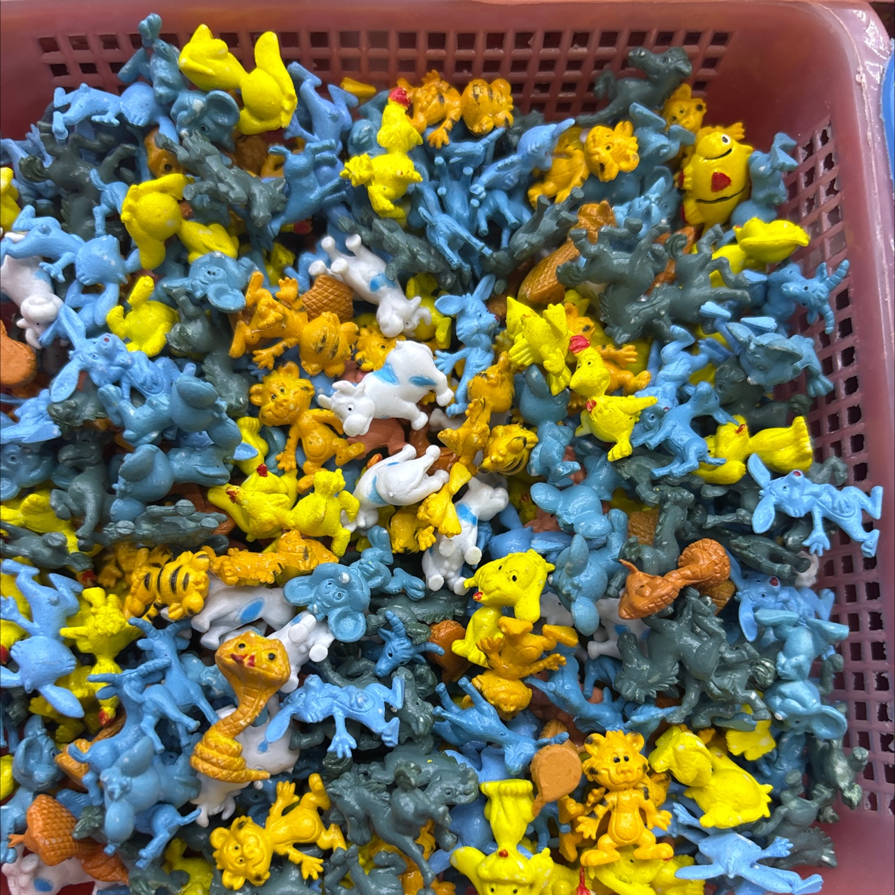 12生肖混款小动物