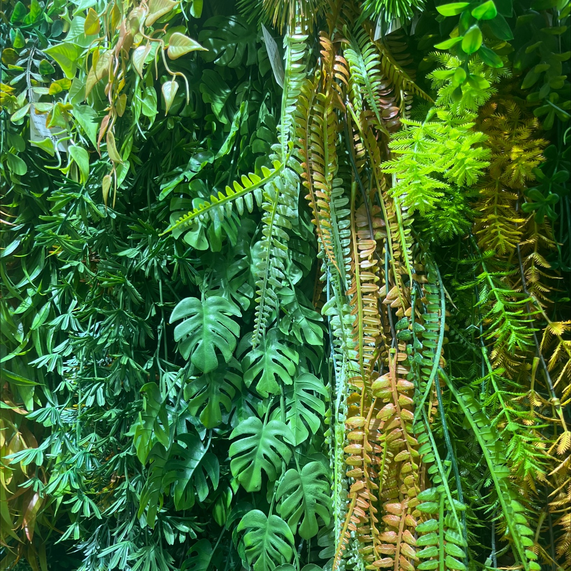 仿真塑料绿植挂墙壁挂，绿色植物藤条藤蔓，仿真植物壁挂藤条藤蔓