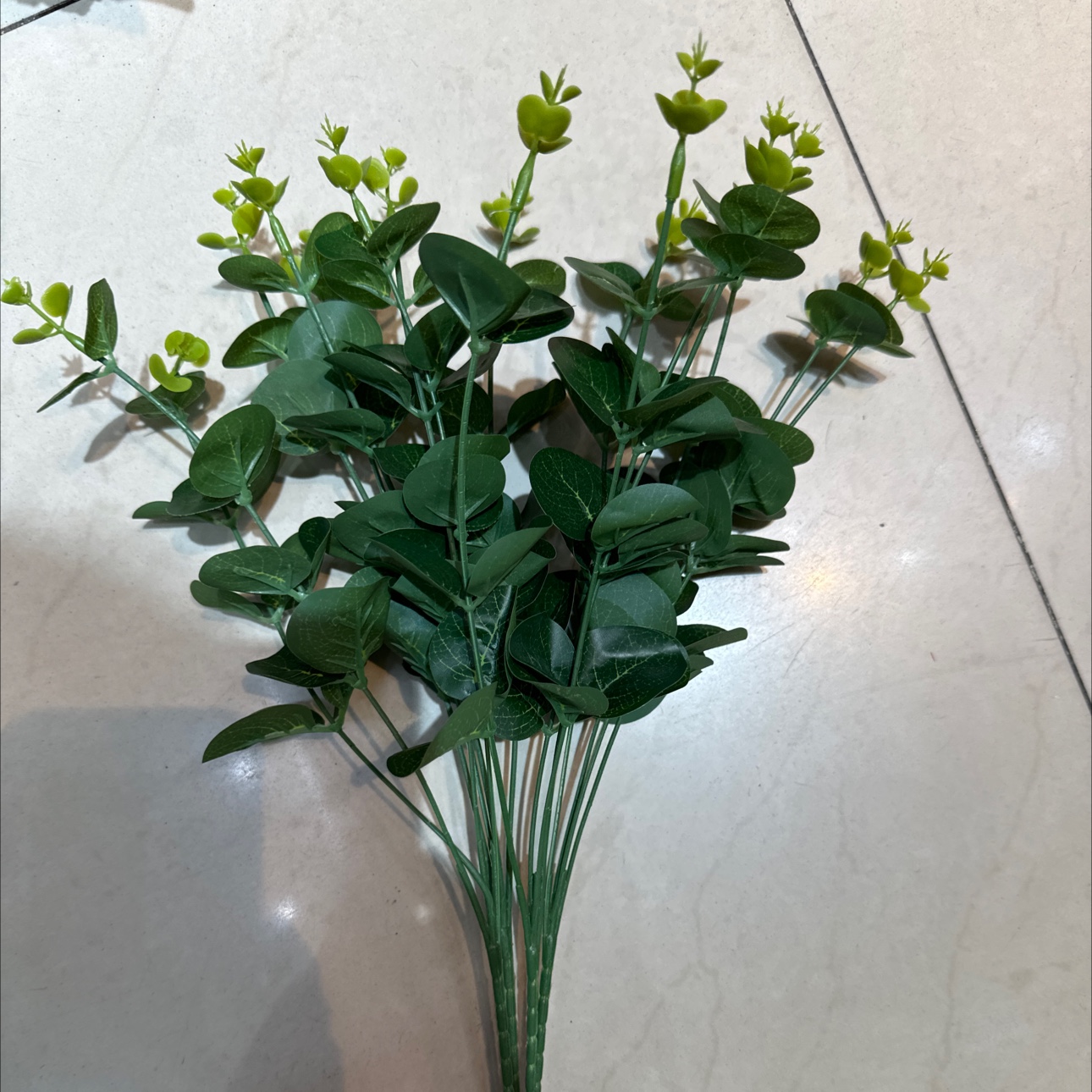 有加利个y春芳健康广丰v