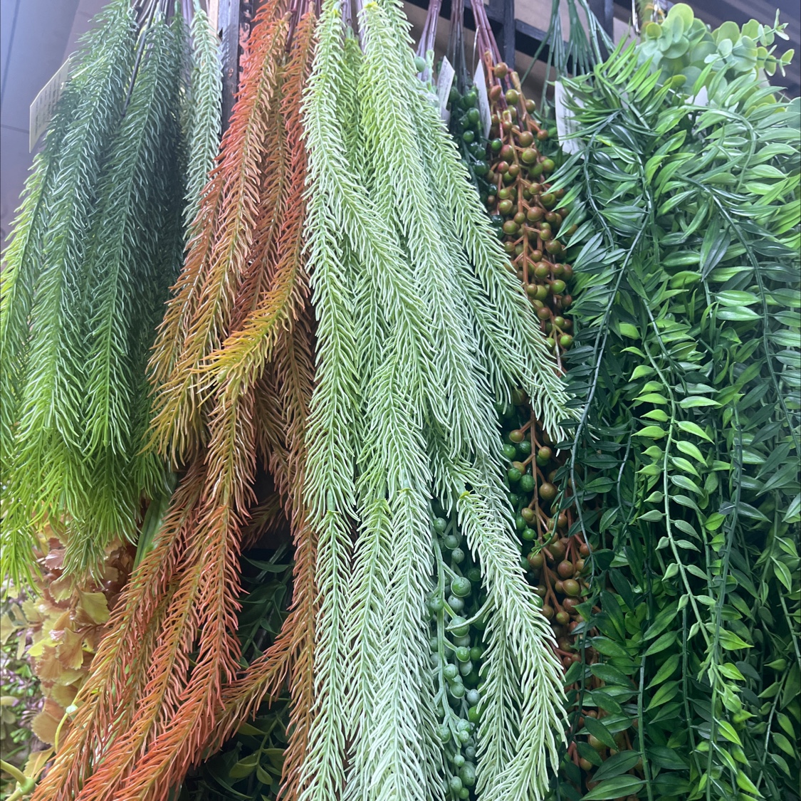 仿真壁挂蕨叶藤条吊顶绿色植物藤蔓装饰绿植墙壁装饰