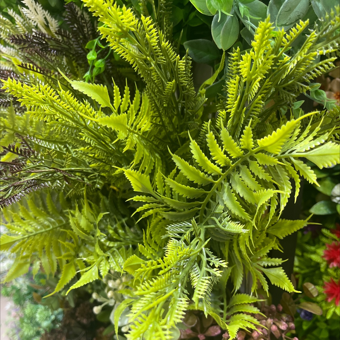 仿真蕨类植物，家居装饰，氛围营造，拍摄道具，工程装饰细节图