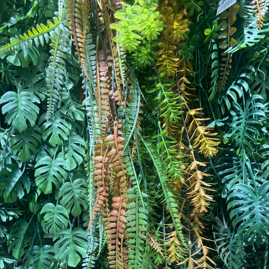 仿真塑料绿植挂墙壁挂，绿色植物藤条藤蔓，仿真植物壁挂藤条藤蔓产品图