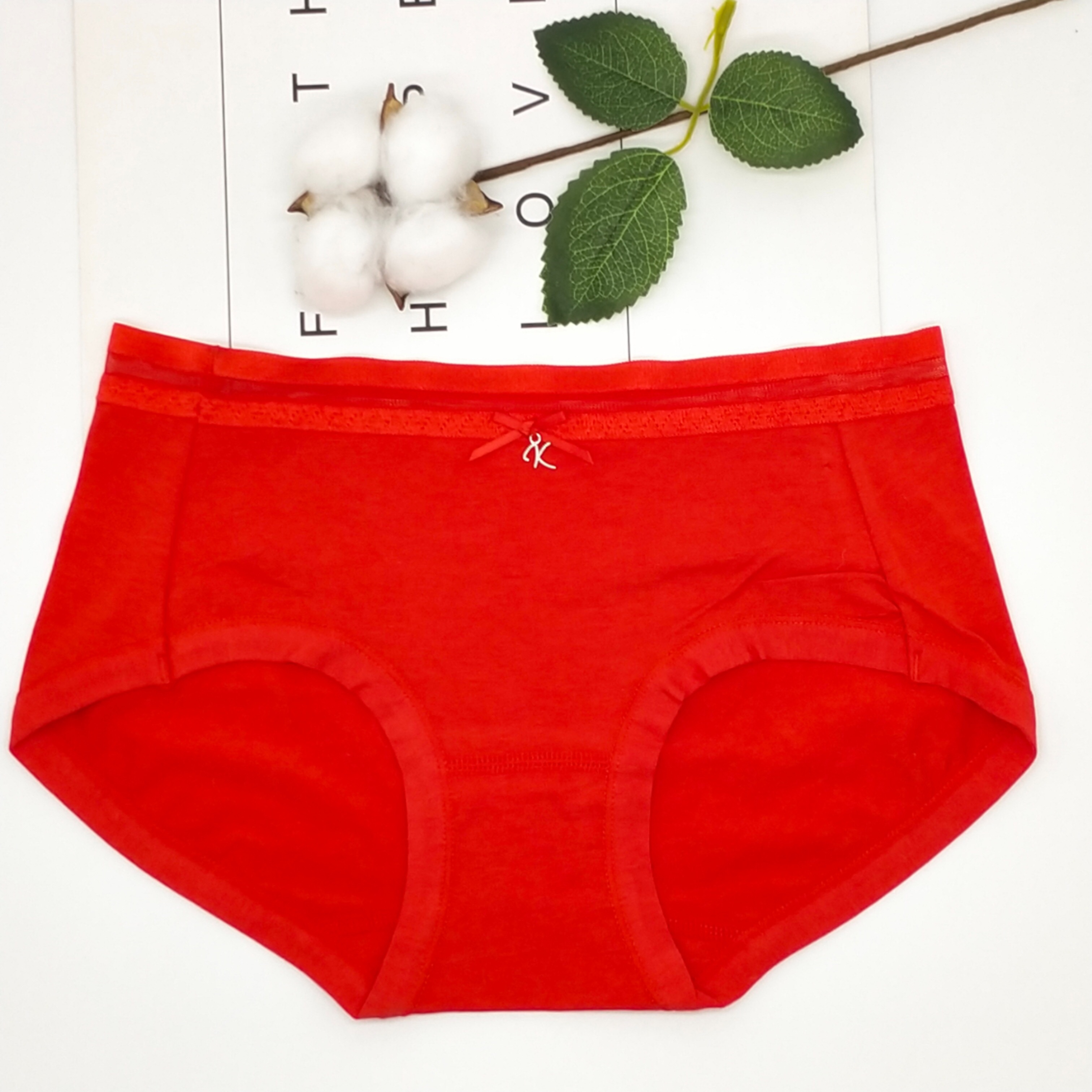Mid-Waist Women's Panties Girly Panties Delicate Bow Lace Women's Briefs Ten Pack Simple Bag undefined