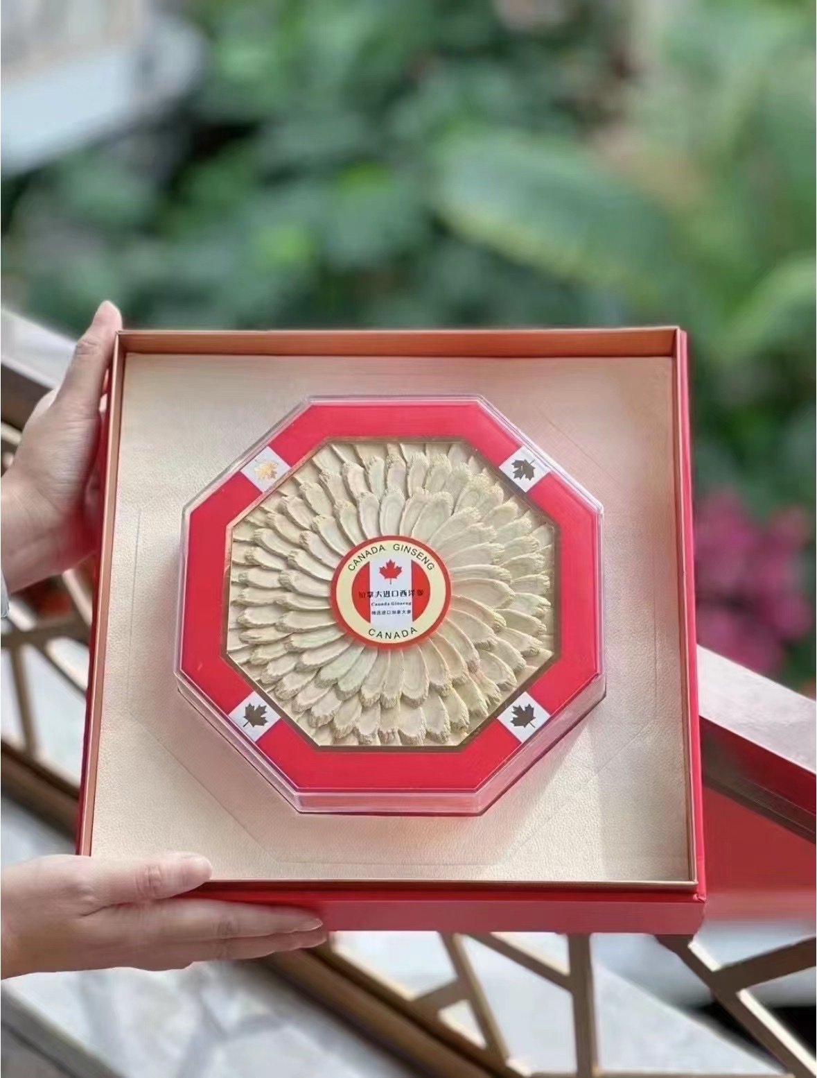 加拿大西洋参礼盒产品图