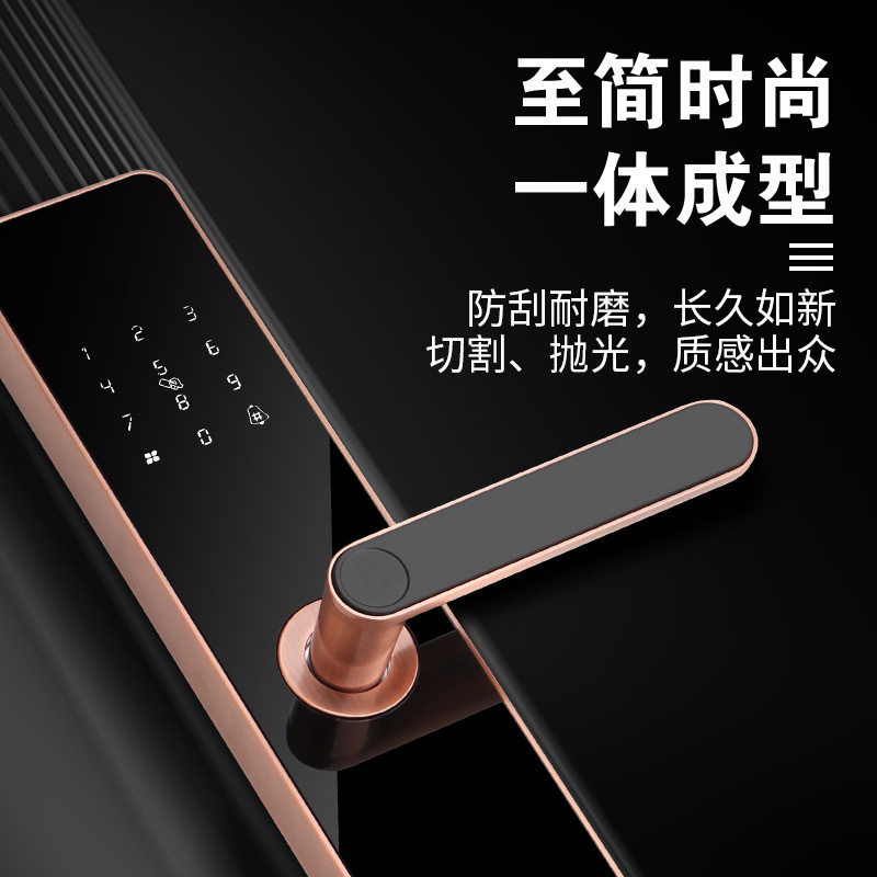 智能门锁/指纹锁智能锁/指纹锁/牛头锁指纹/指纹锁密码锁白底实物图