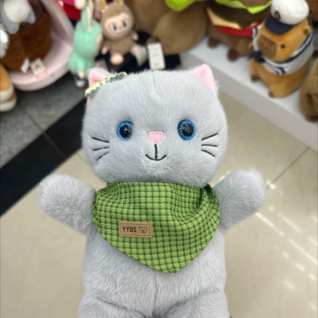 Scarf Cat