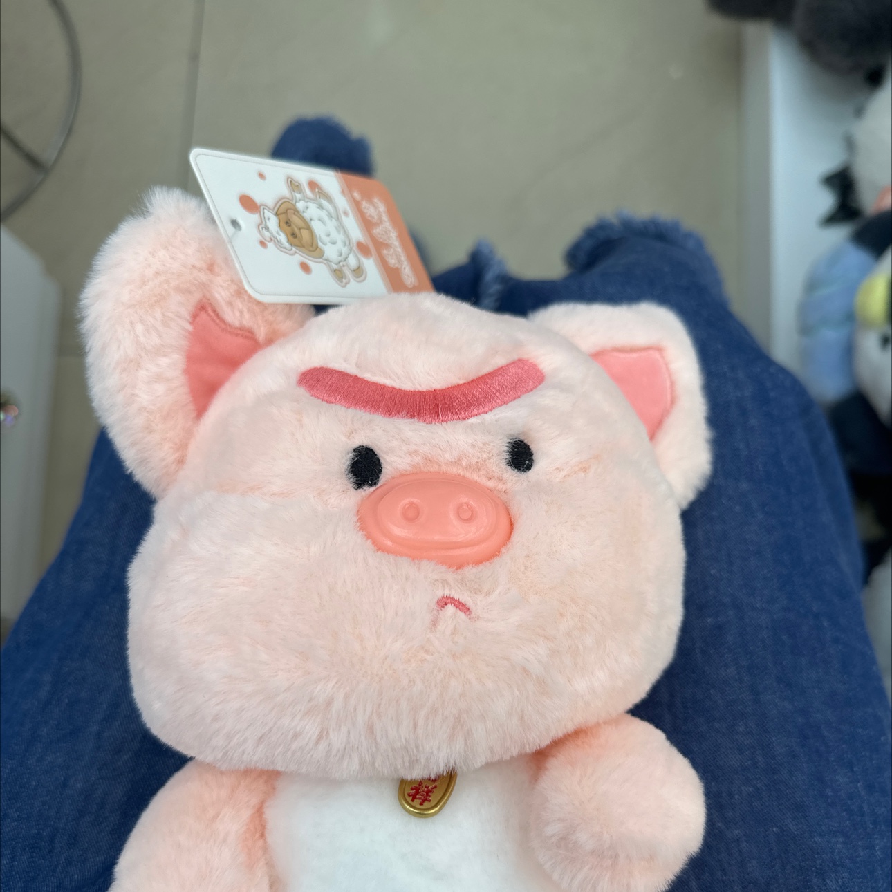 Children's plush toy: Chubby pig hand doll and Striving Pig details Picture