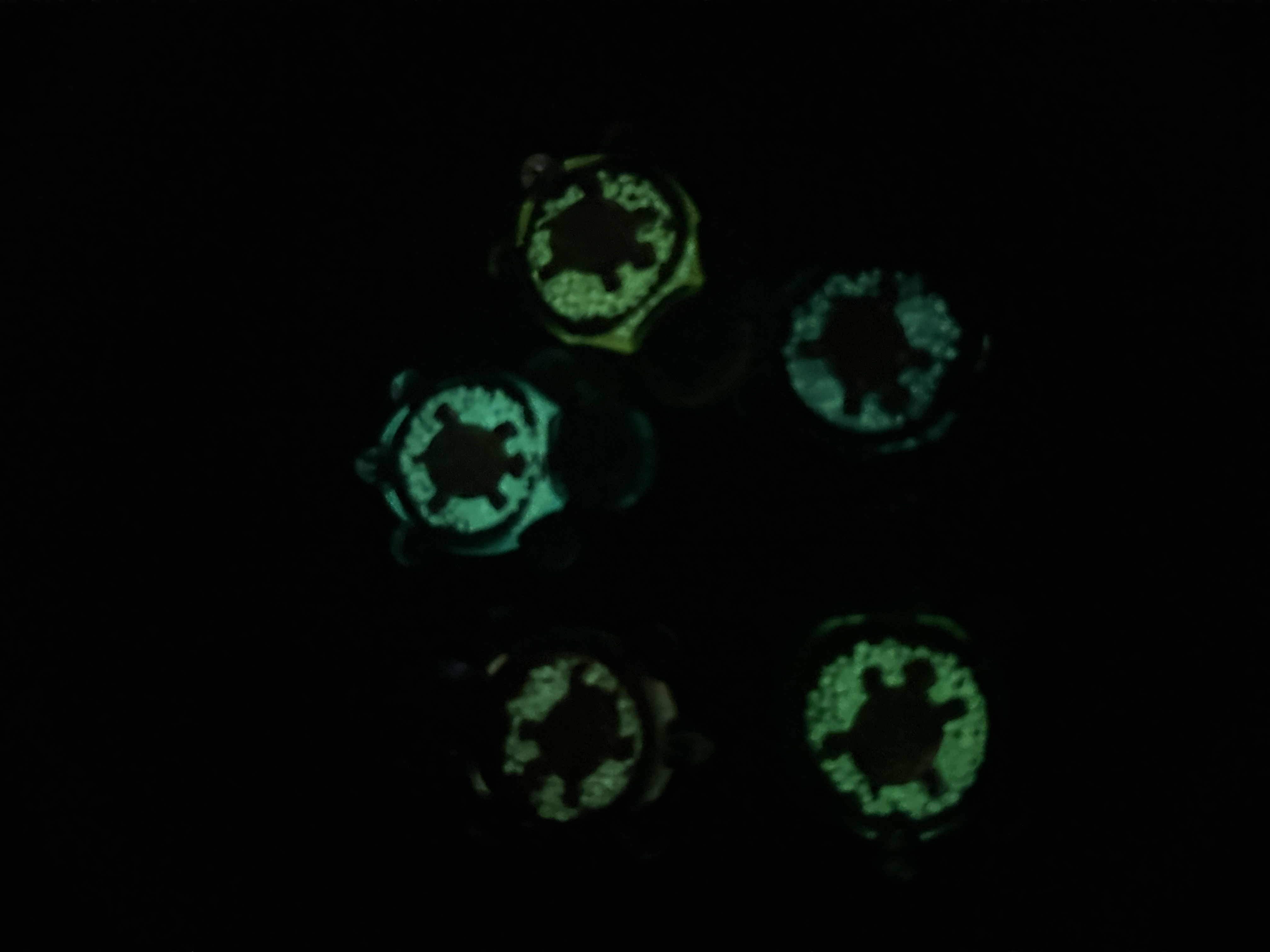 金钱龟夜光黄金龟夜光小乌龟流沙亮片乌龟海螺龟海龟抖音直播爆款详情图2