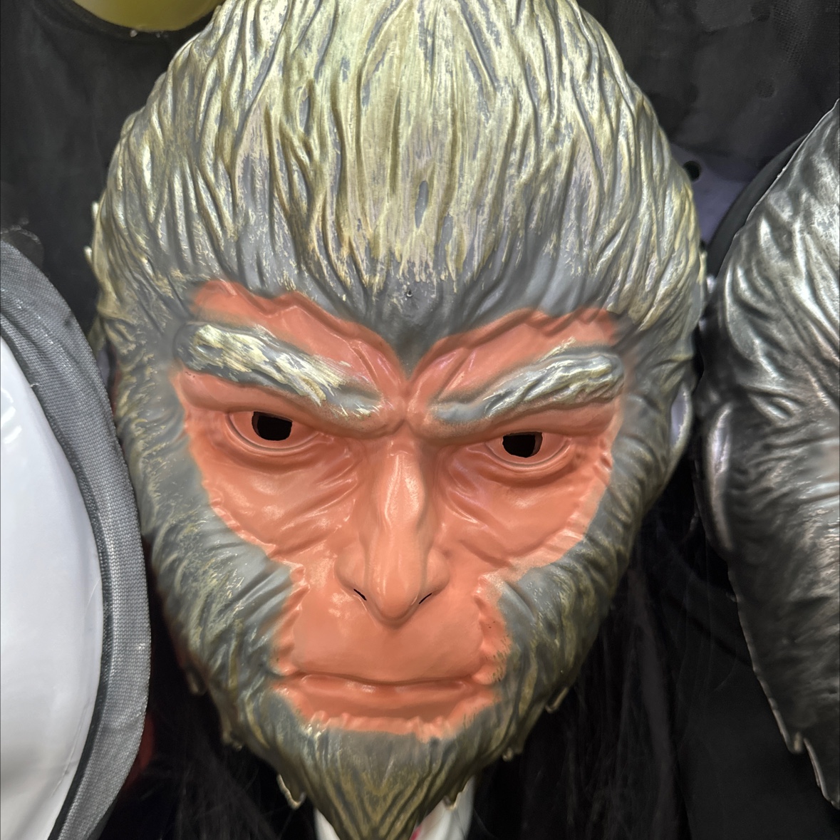 小孩cosplay/龟卜卜/小乌龟盲袋/手机支架产品图