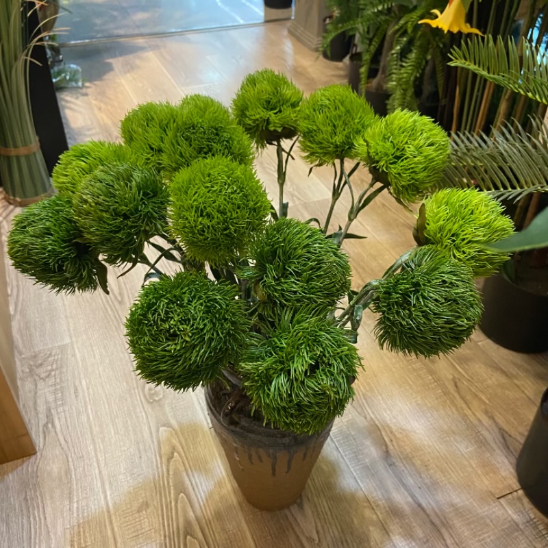 Factory store green carnation artificial flowers, soft rubber, green wool balls, artificial flowers, decorative items, photography floral art props, fruit gift boxes pic 6