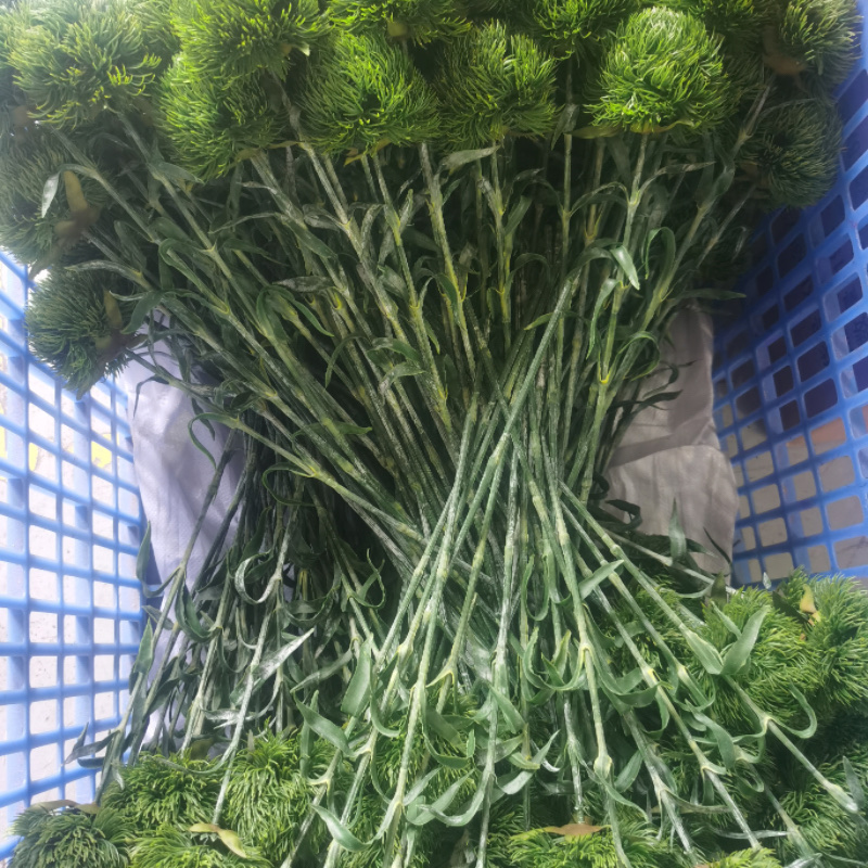 Factory store green carnation artificial flowers, soft rubber, green wool balls, artificial flowers, decorative items, photography floral art props, fruit gift boxes details Picture