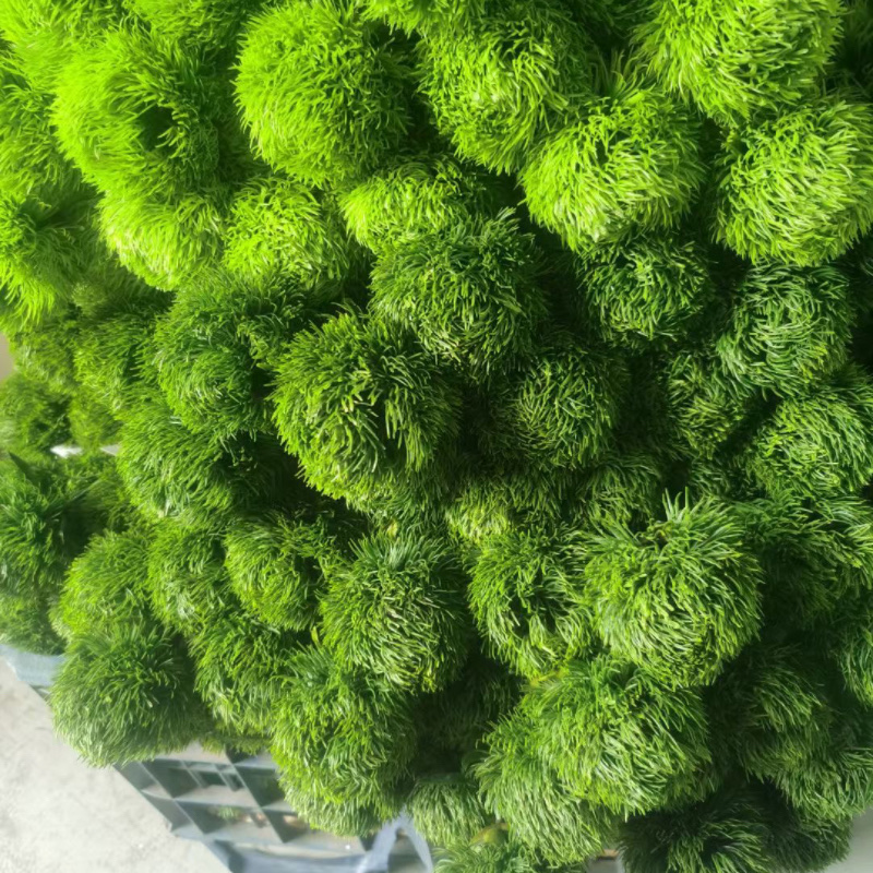 Factory store green carnation artificial flowers, soft rubber, green wool balls, artificial flowers, decorative items, photography floral art props, fruit gift boxes