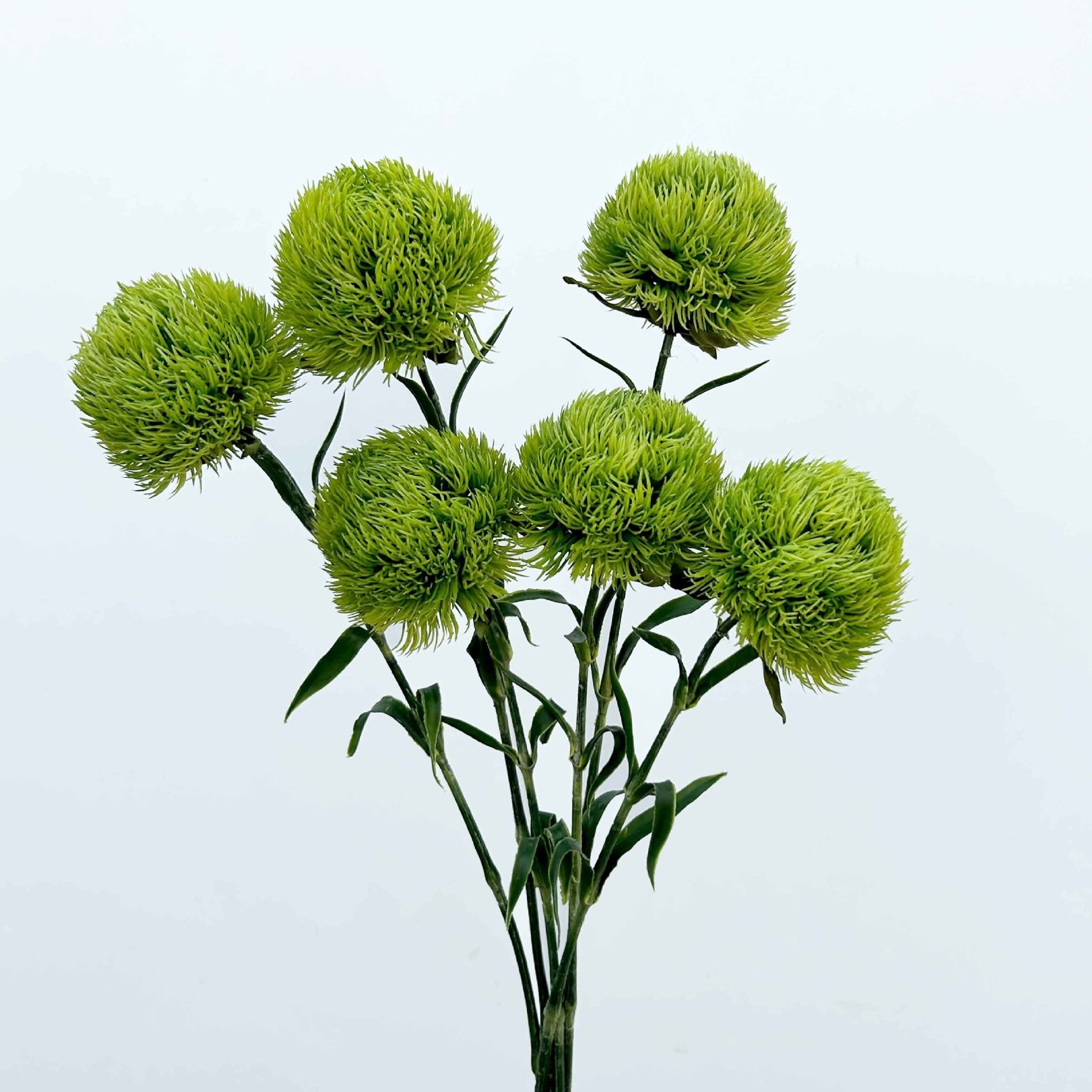 Factory store green carnation artificial flowers, soft rubber, green wool balls, artificial flowers, decorative items, photography floral art props, fruit gift boxes pic 4