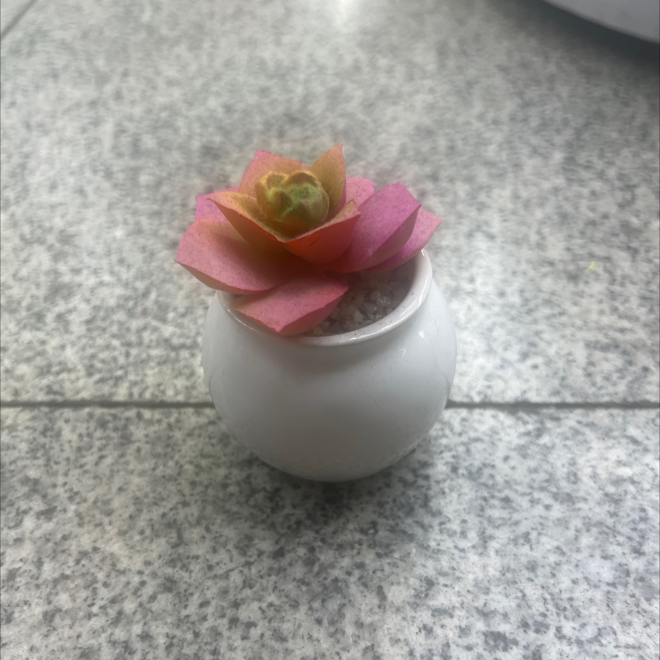 小植物盆栽人造绿植装饰 假绿植家居摆设 创意室内装饰品 环保无味不褪色