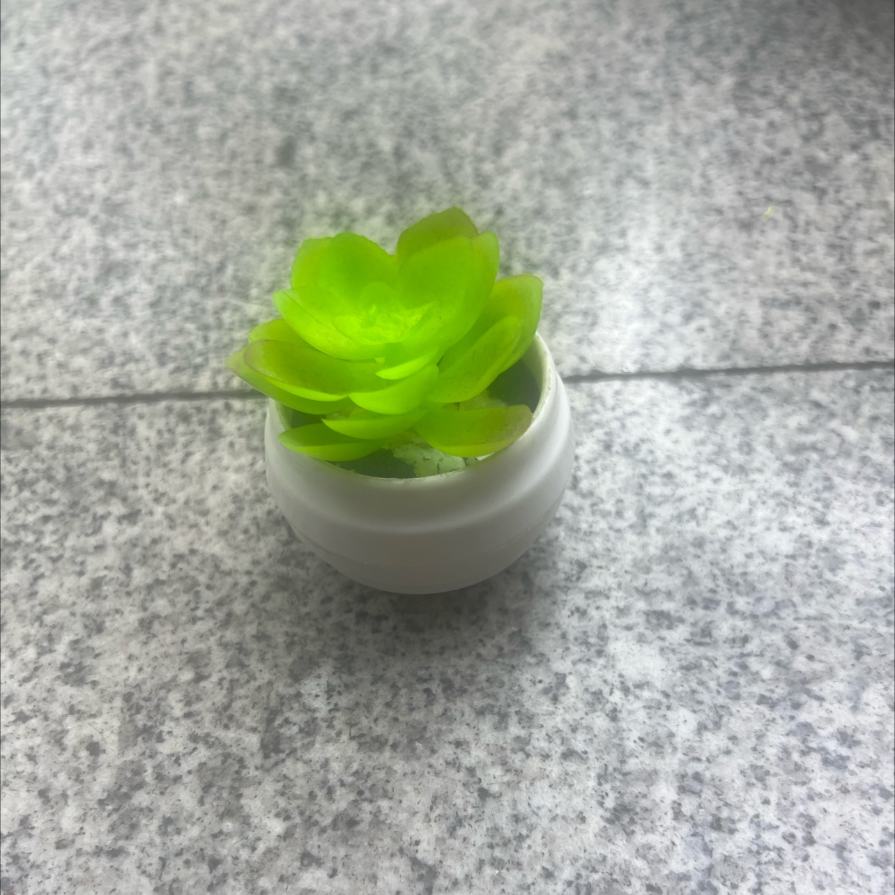 小植物人造绿植盆栽 环保材质假绿植装饰 室内外装饰品 美化环境提升空气质量